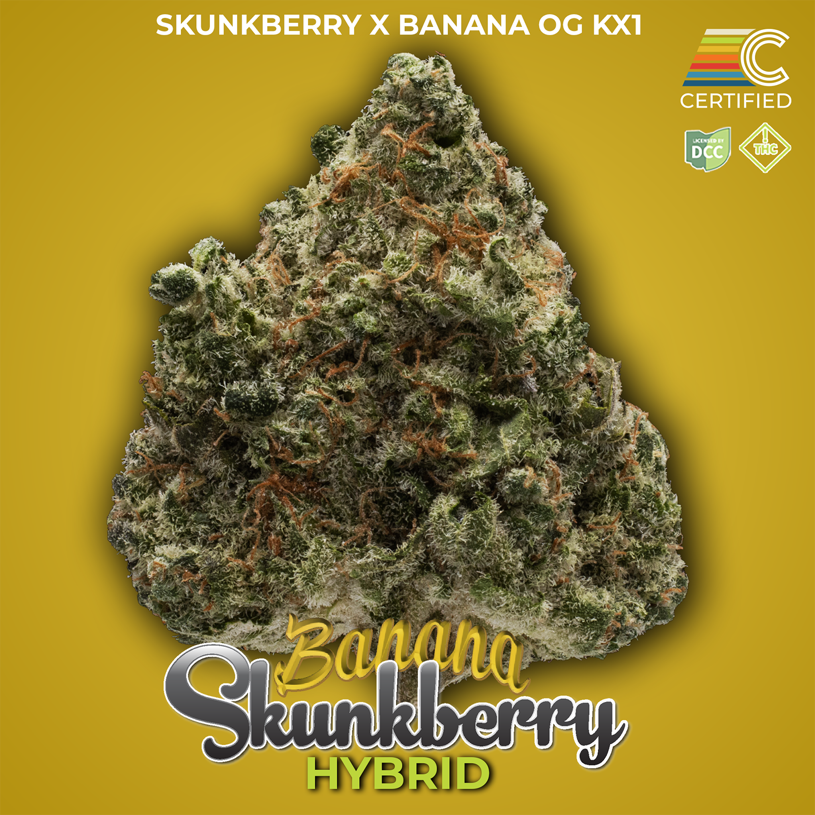 Shop Banana Skunkberry [2.83g] | BEYOND / HELLO - Cincinnati (MED