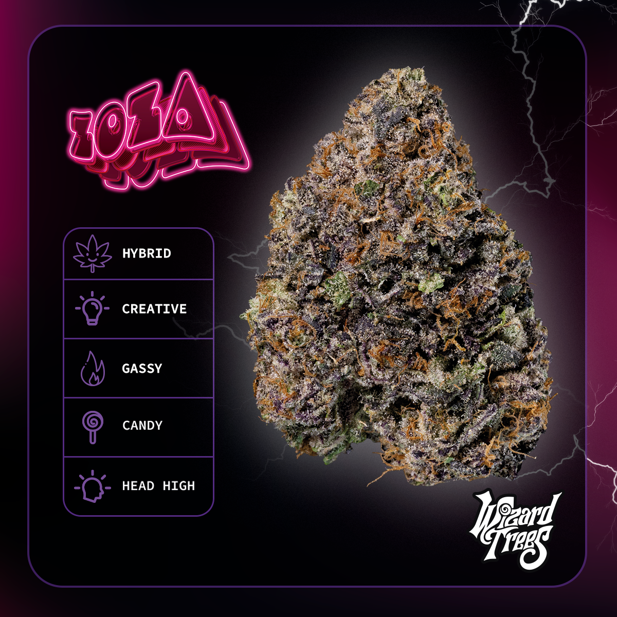 Zoza