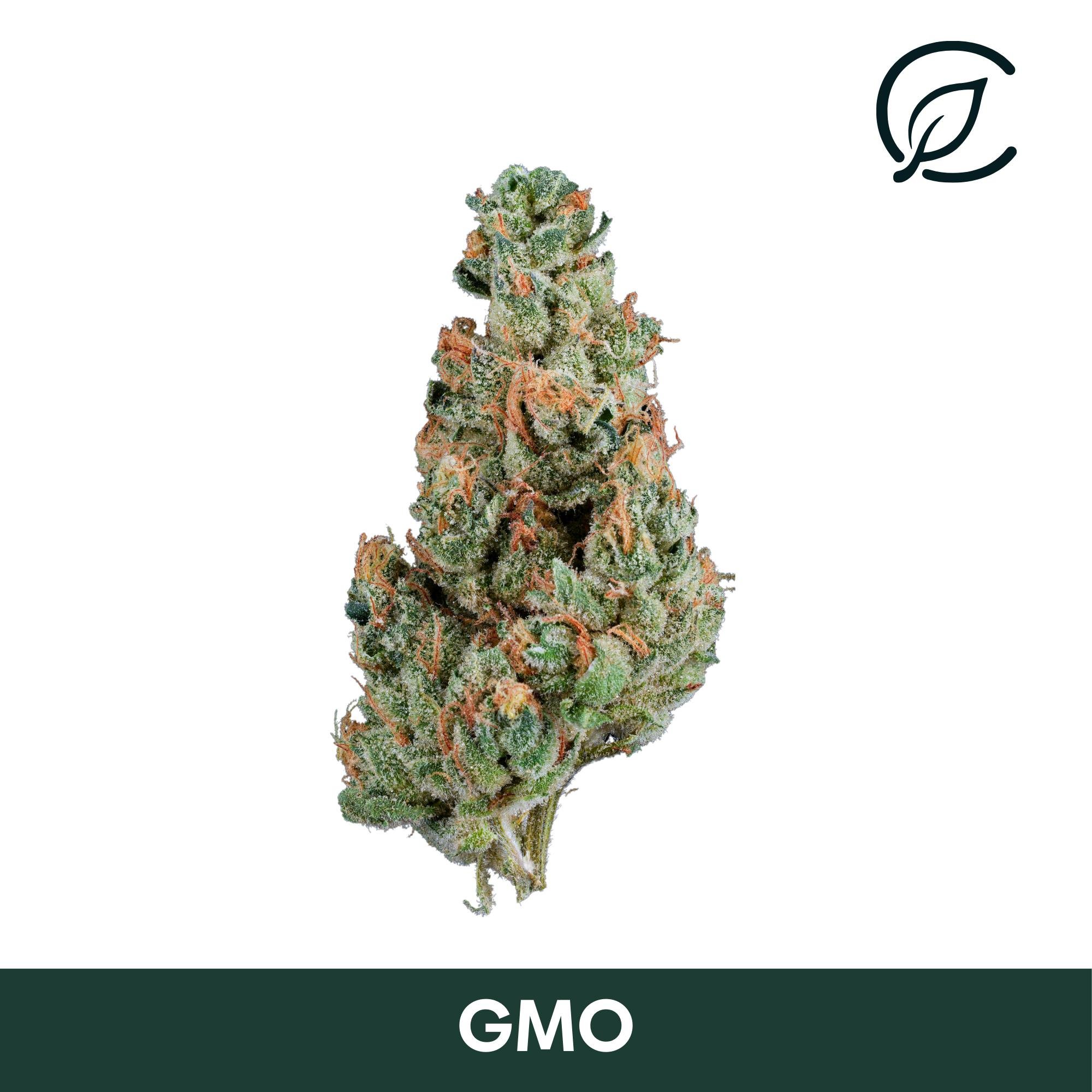 Curaleaf - GMO (I) Flower C0030001054 Curaleaf - GMO (I) Flower C0030001054