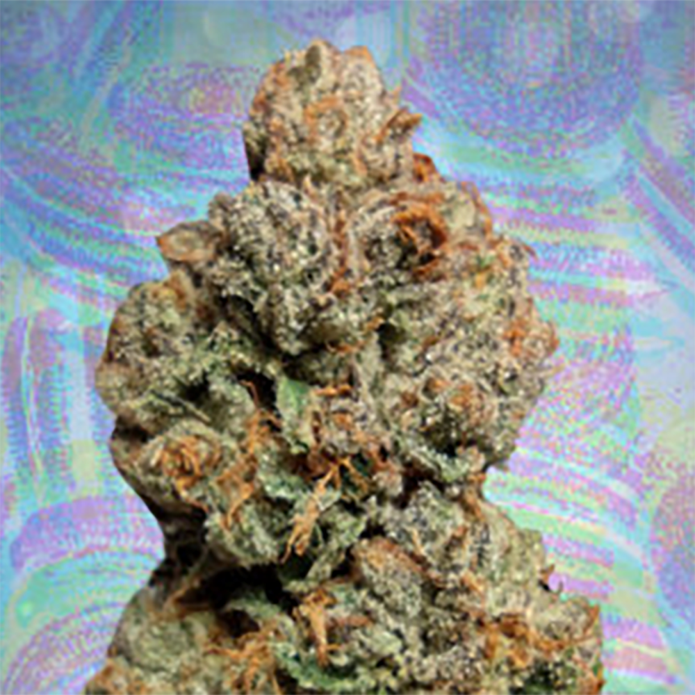 Cream Cookie Big Stuff