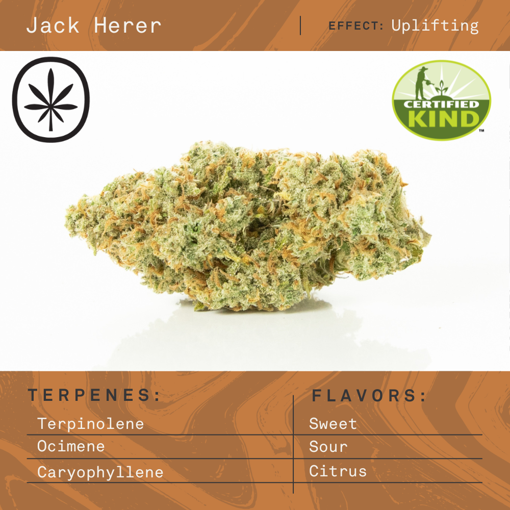 Jack Herer