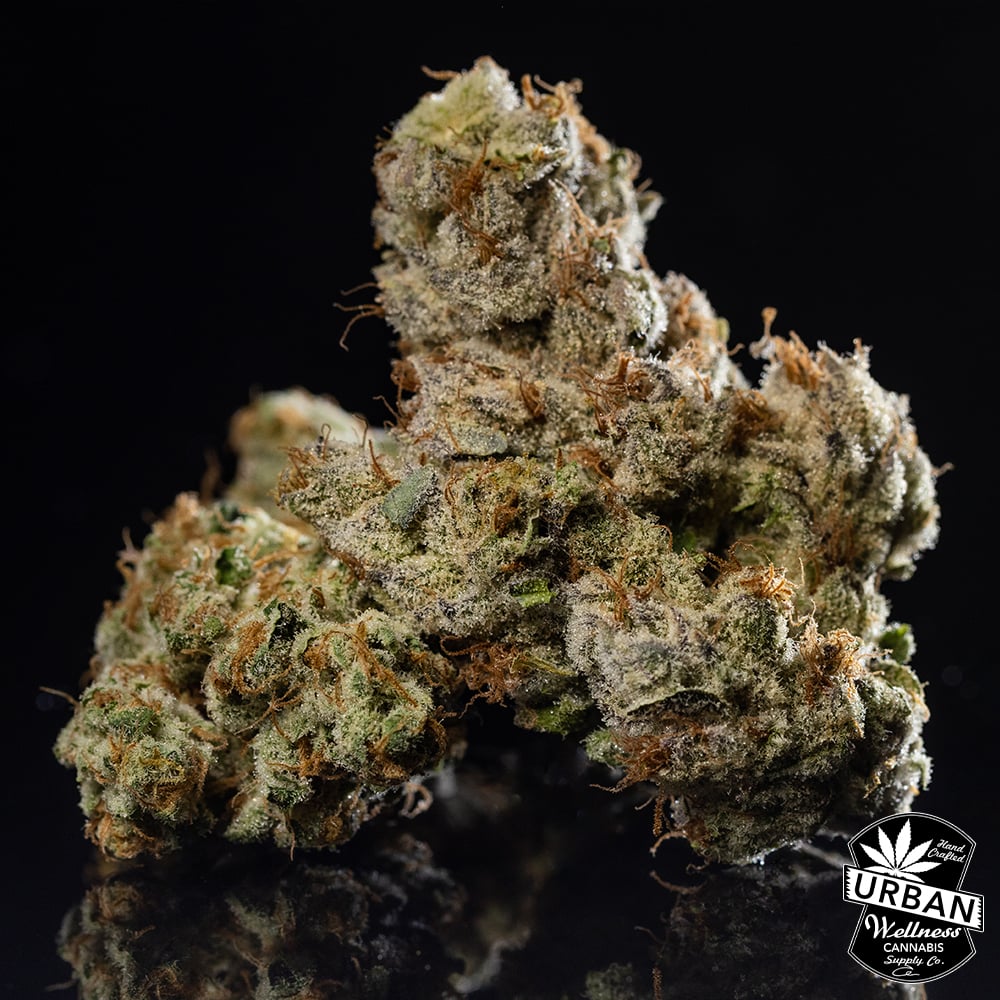 Shop Big Buns | Urban Wellness - 98th Dispensary Albuquerque, NM