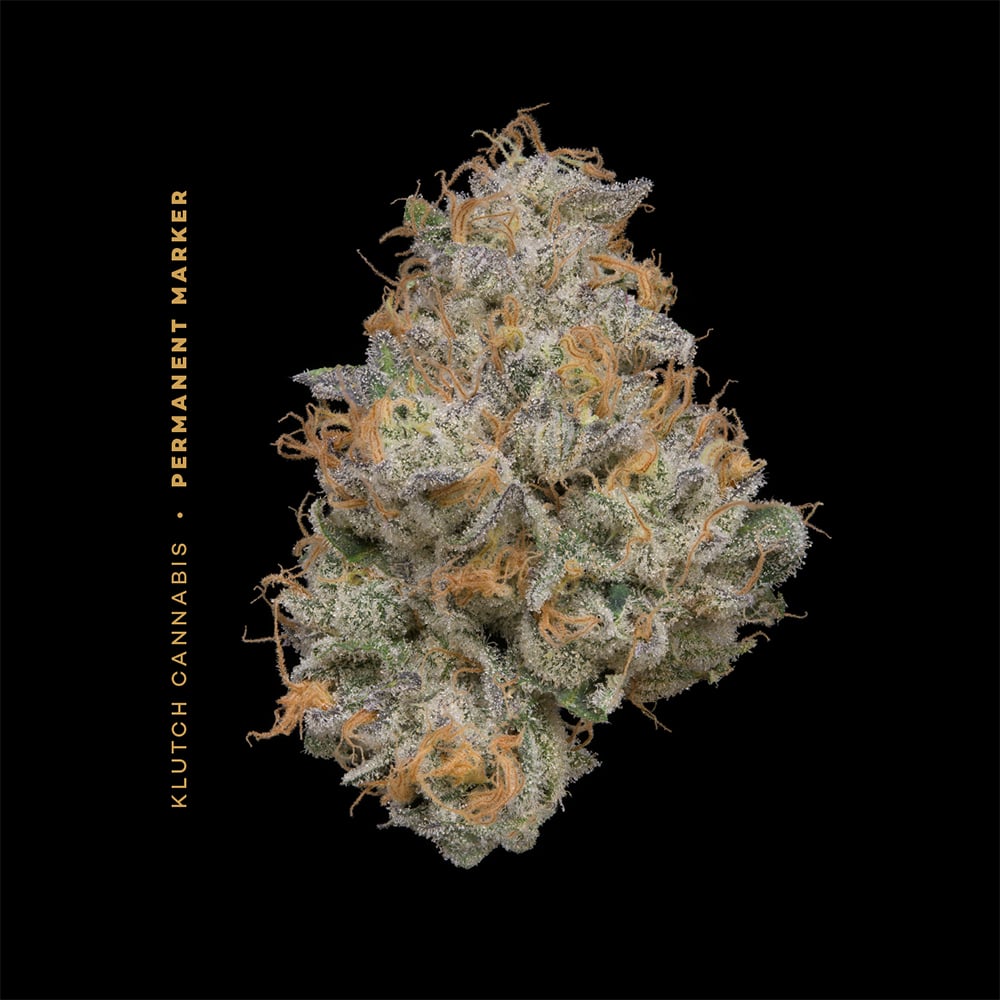 PERMANENT MARKER - [2.83G] - INDICA