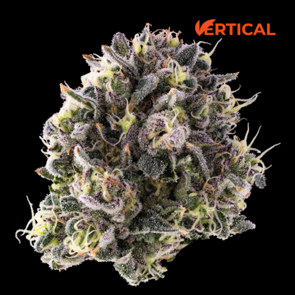 3.5g | Grape Bubblegum