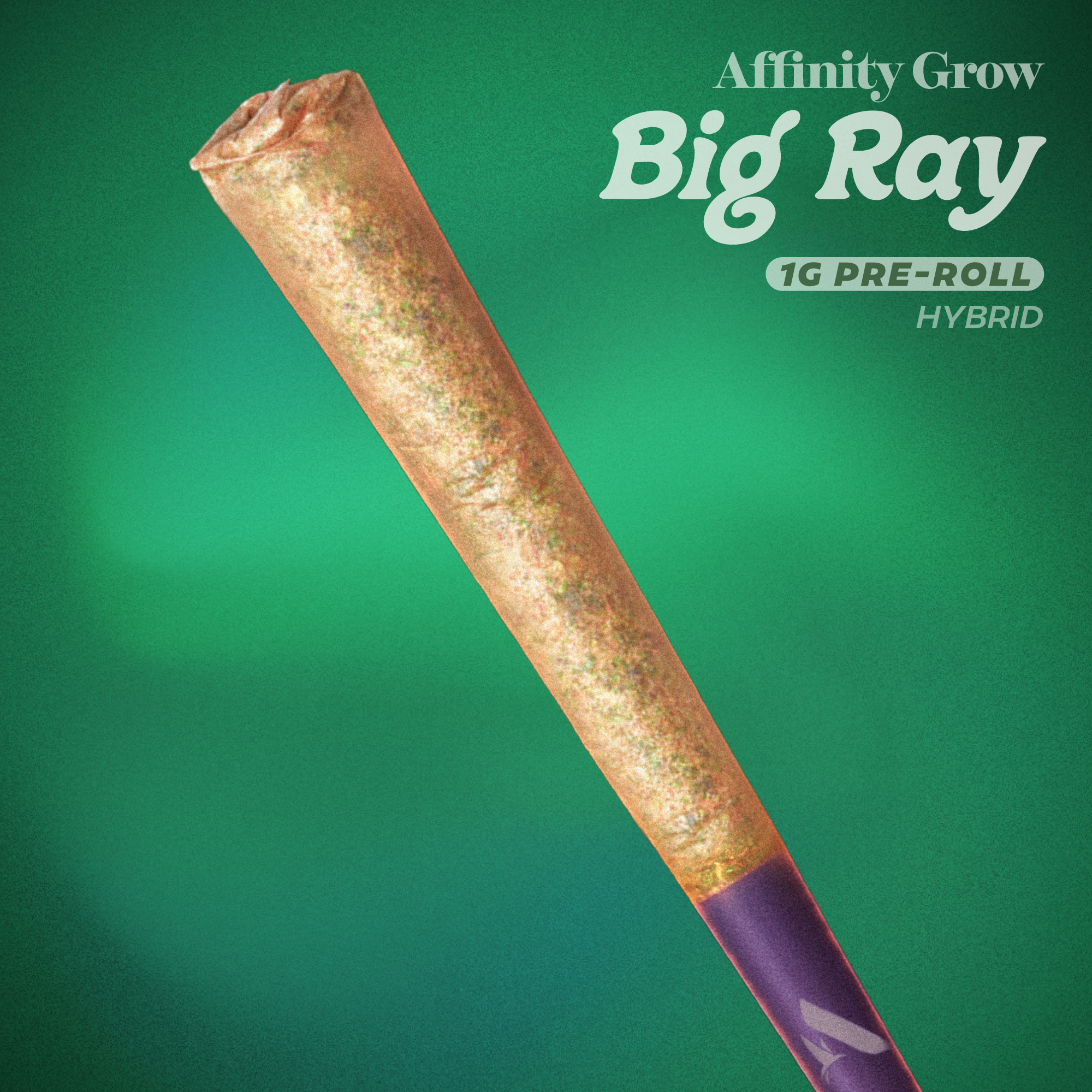 Pb Breath Big Ray T 01034