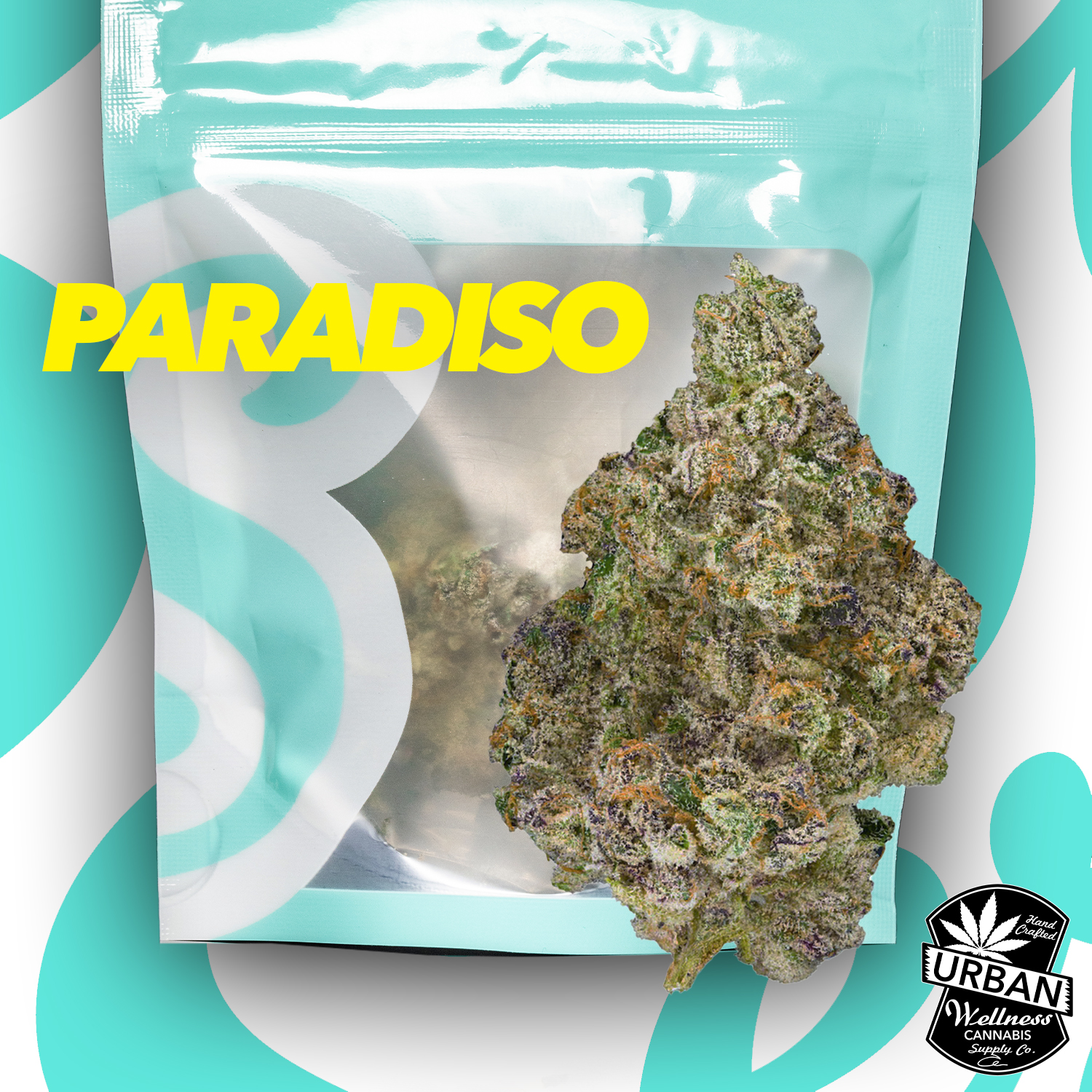 Paradiso