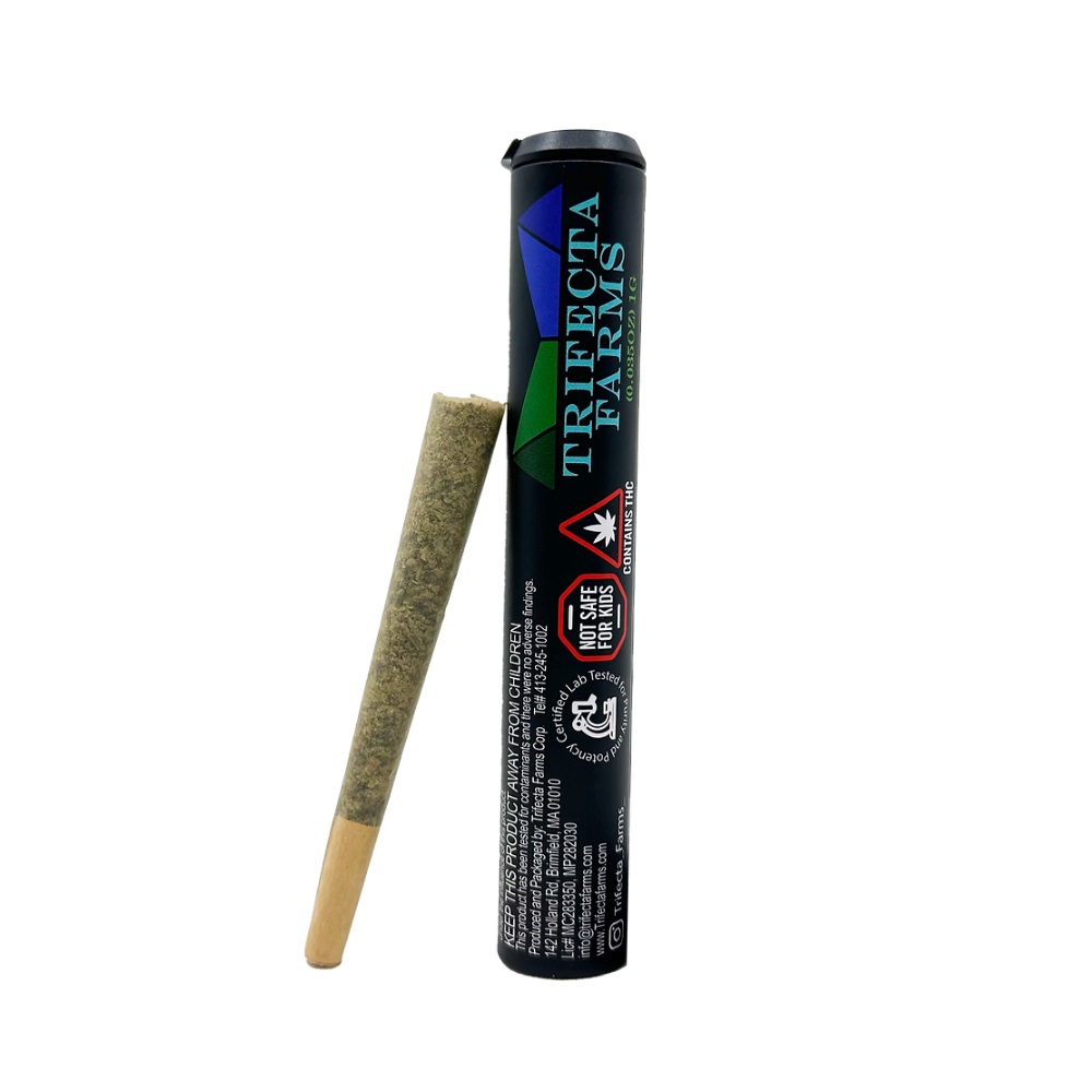 Dry Ice [1g]