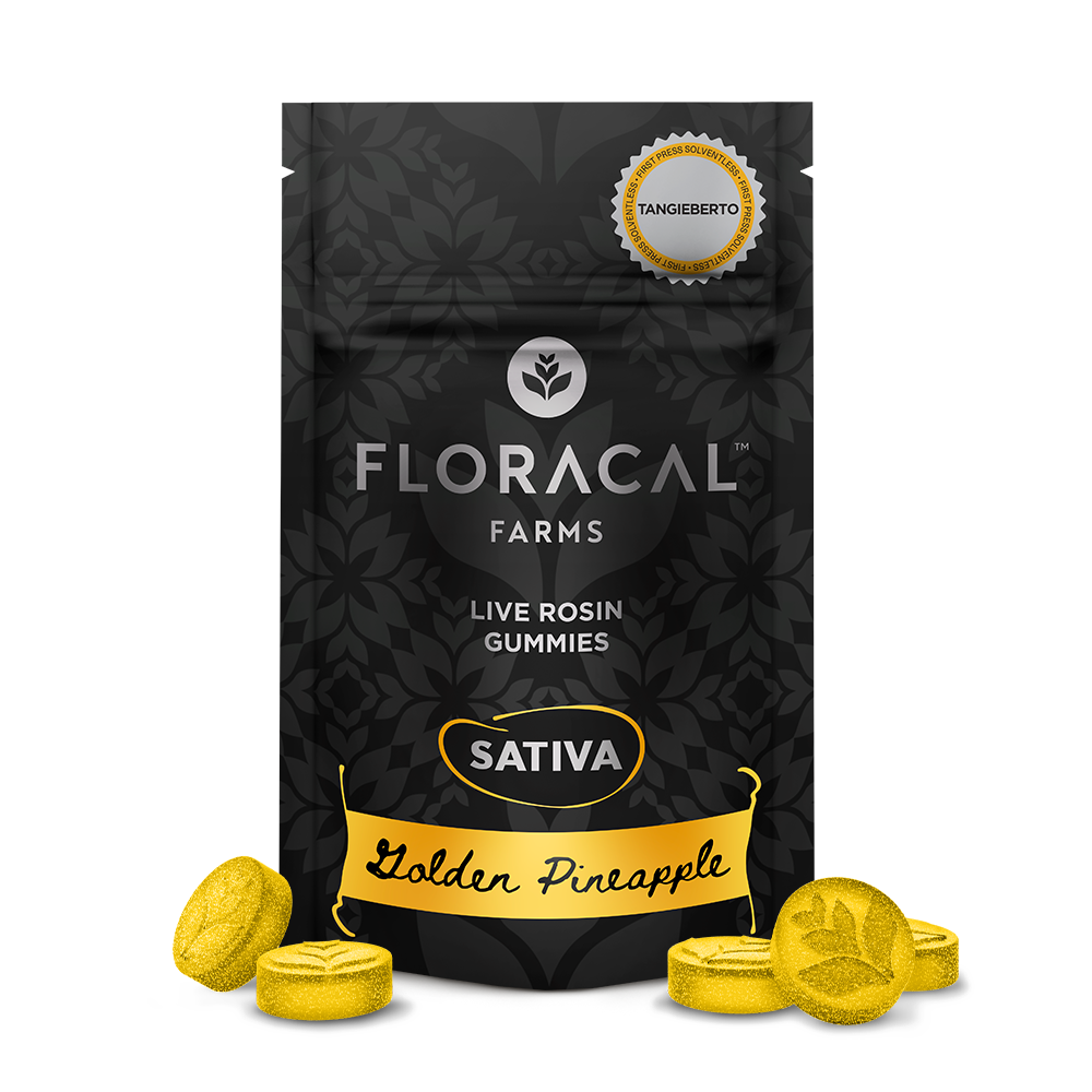 Live Rosin Gummies - Golden Pineapple - Tangieberto [10pk] (100mg)