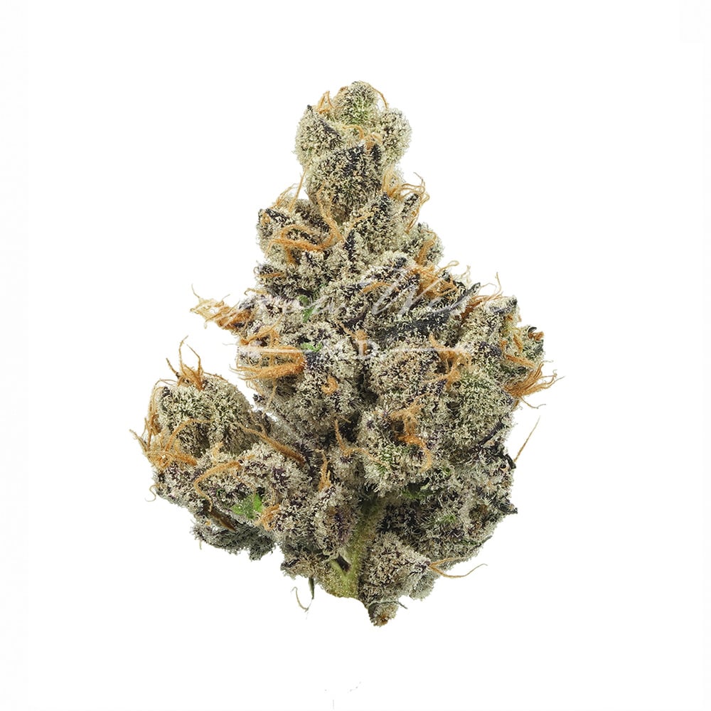 Shop Sour Apple Crumble | Adult Use Cannabis