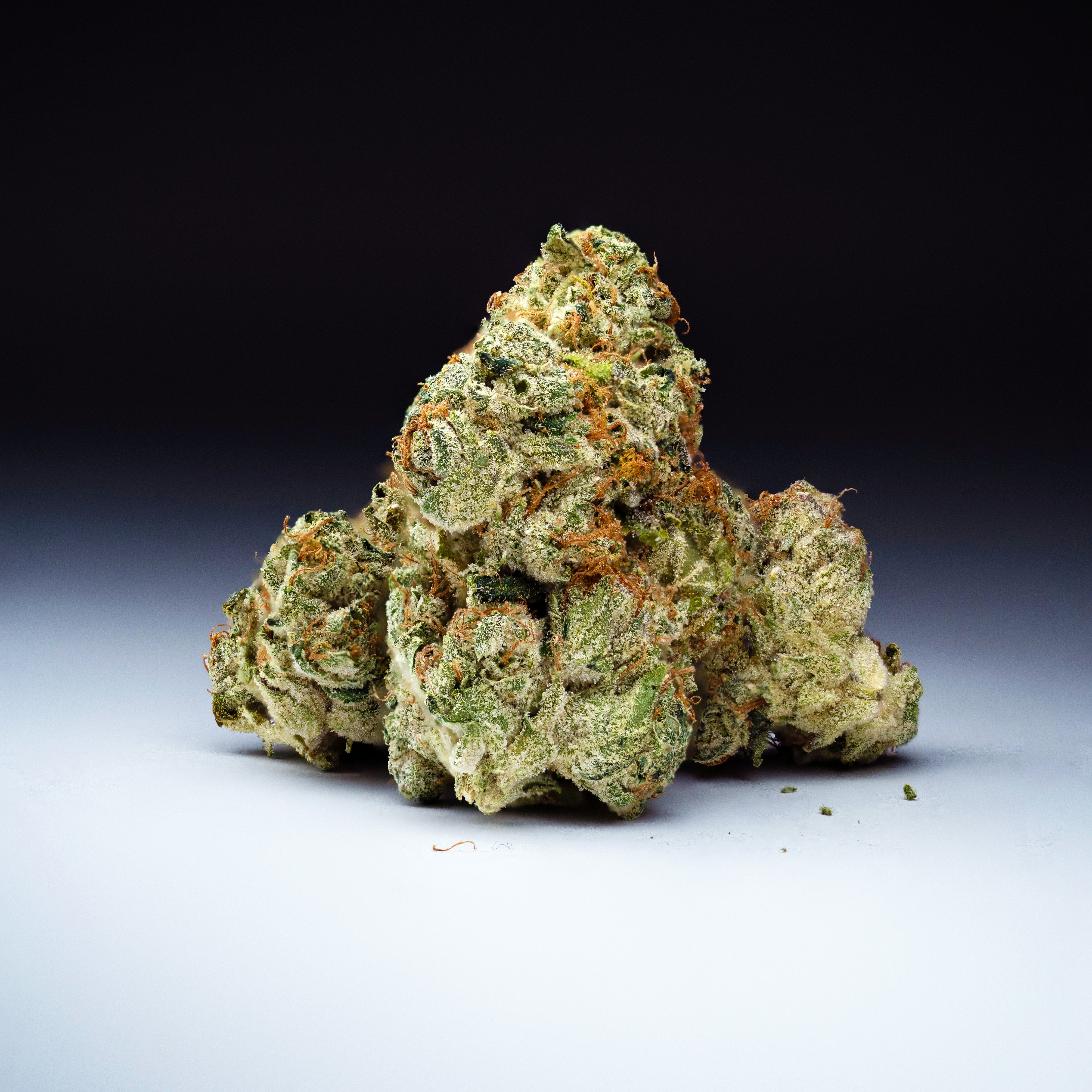 Ghost OG