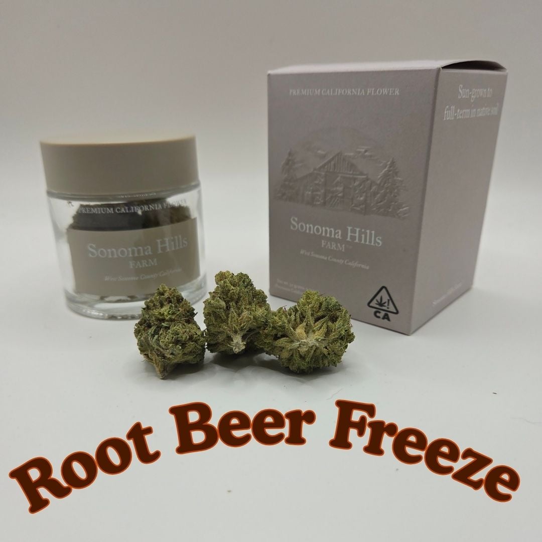 Root Beer Freeze Root Beer Freeze