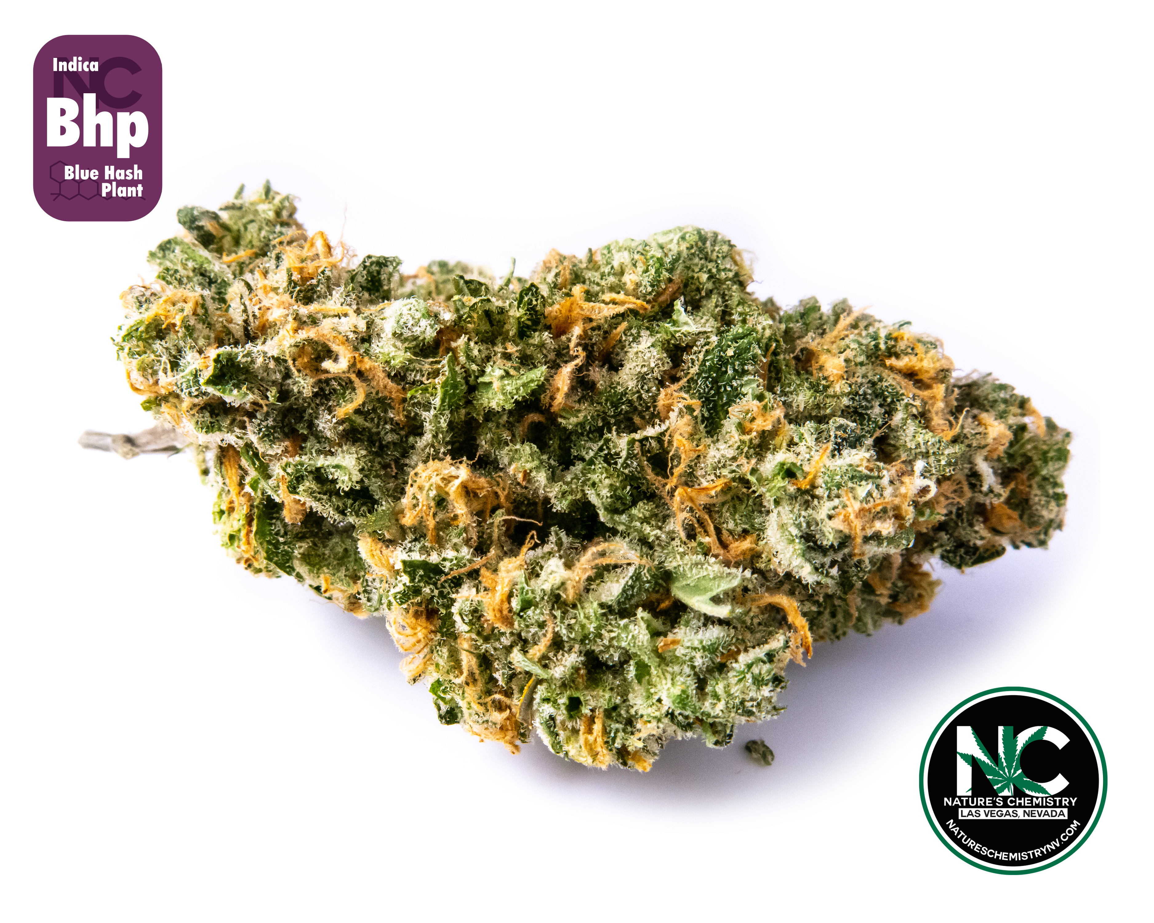 Shop Blue Hash Plant | NuLeaf - Las Vegas, Twain Dispensary Las Vegas, NV