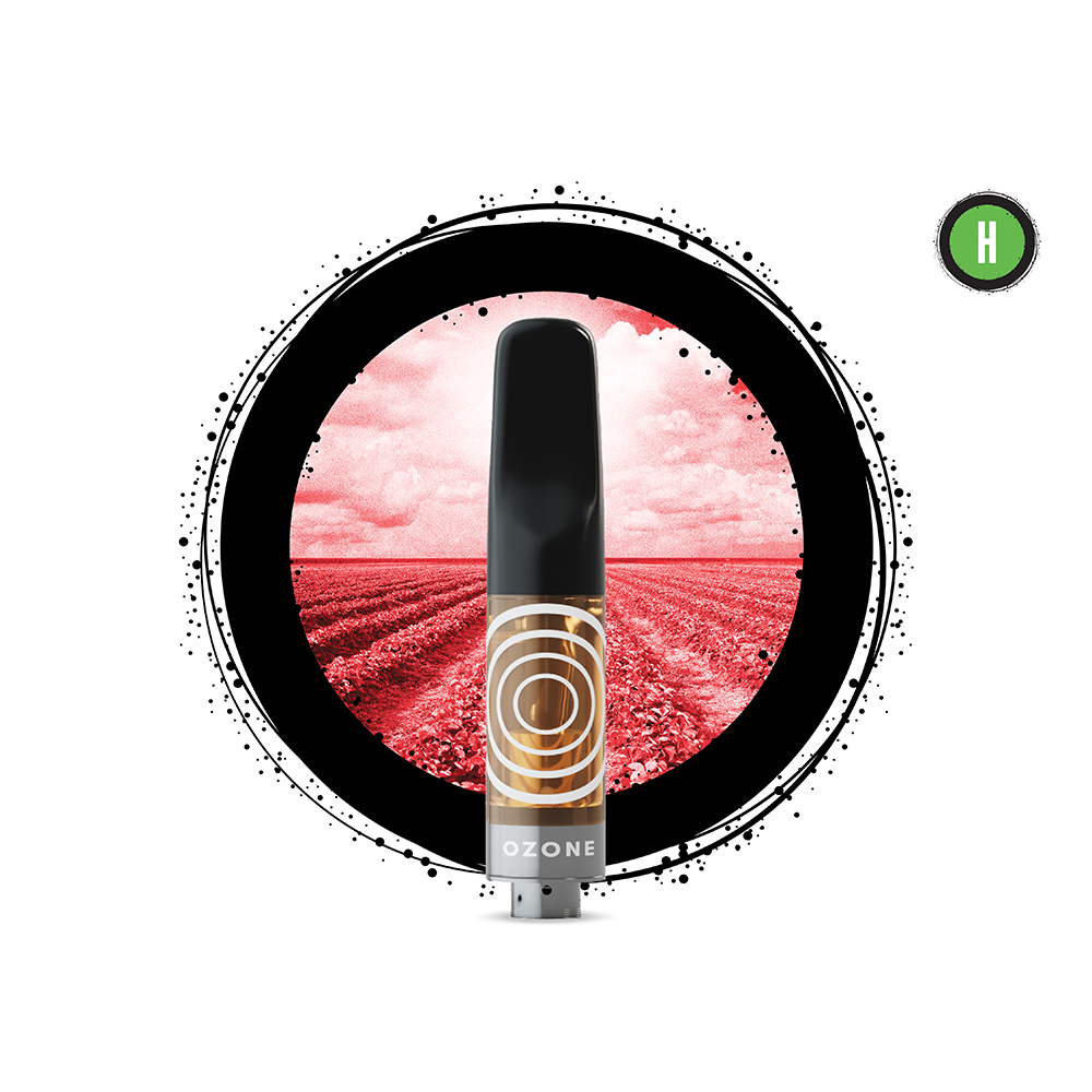 c2cd35ed-959d-4203-8a45-