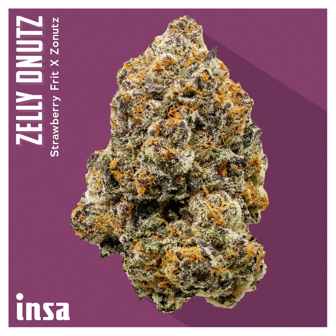 Shop Zelly Dnutz | Insa - Newtown Square Dispensary Newton Square, PA