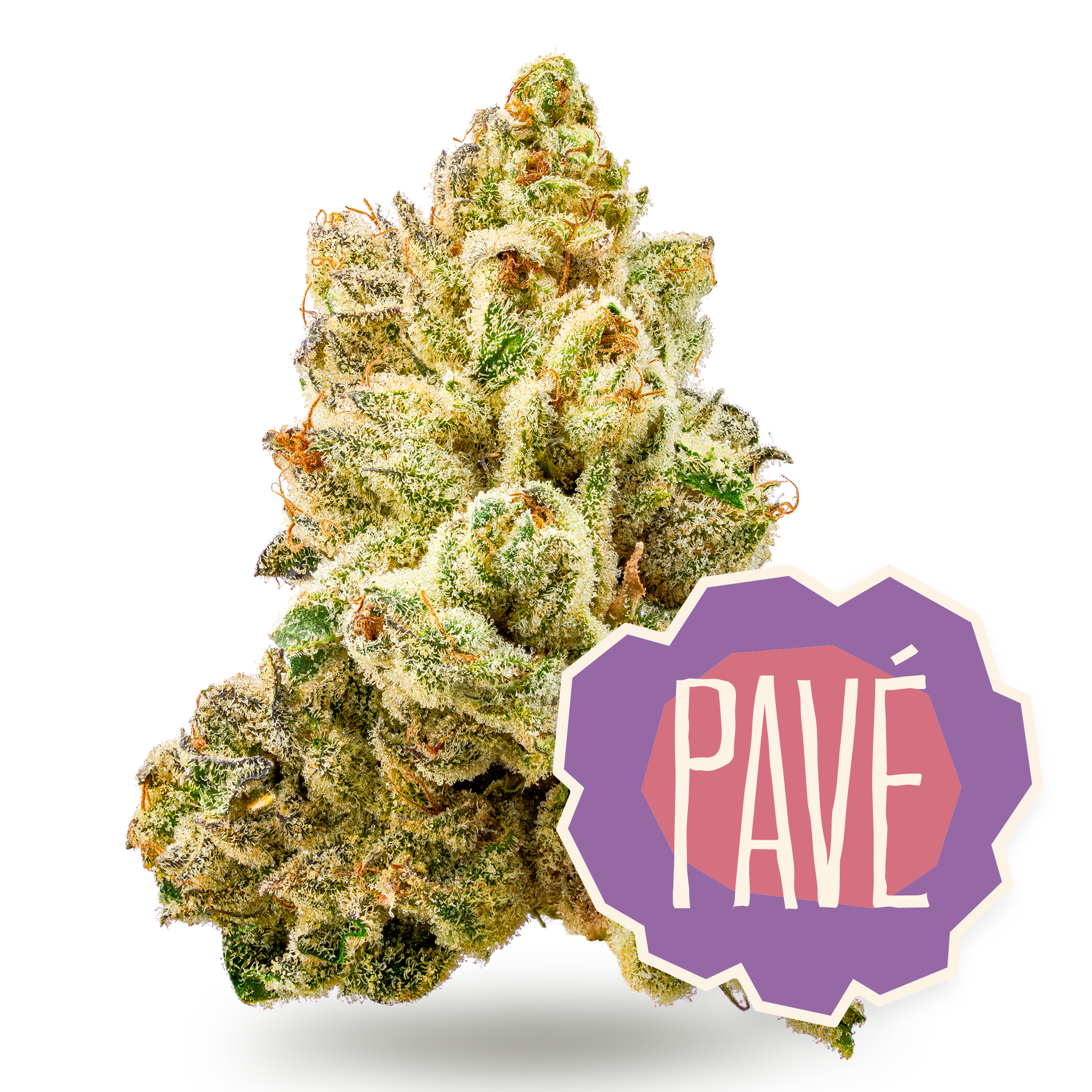Pavé