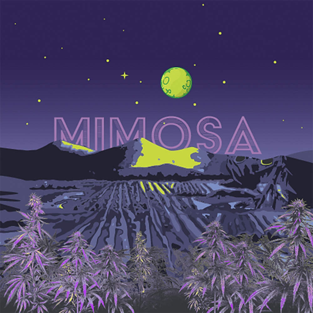 Shop Mimosa | Jane