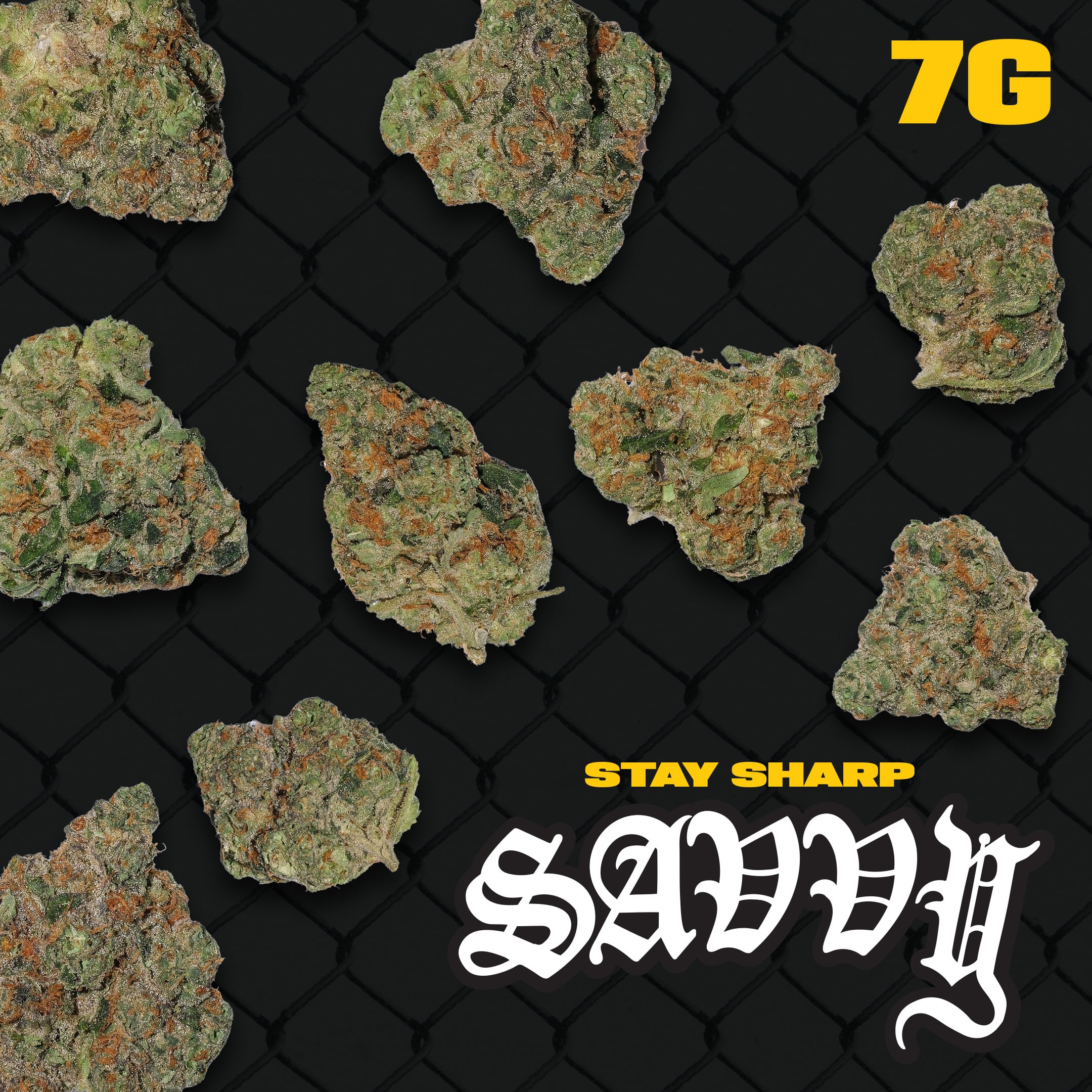 Smalls  Sunny Stomper (H) 26688