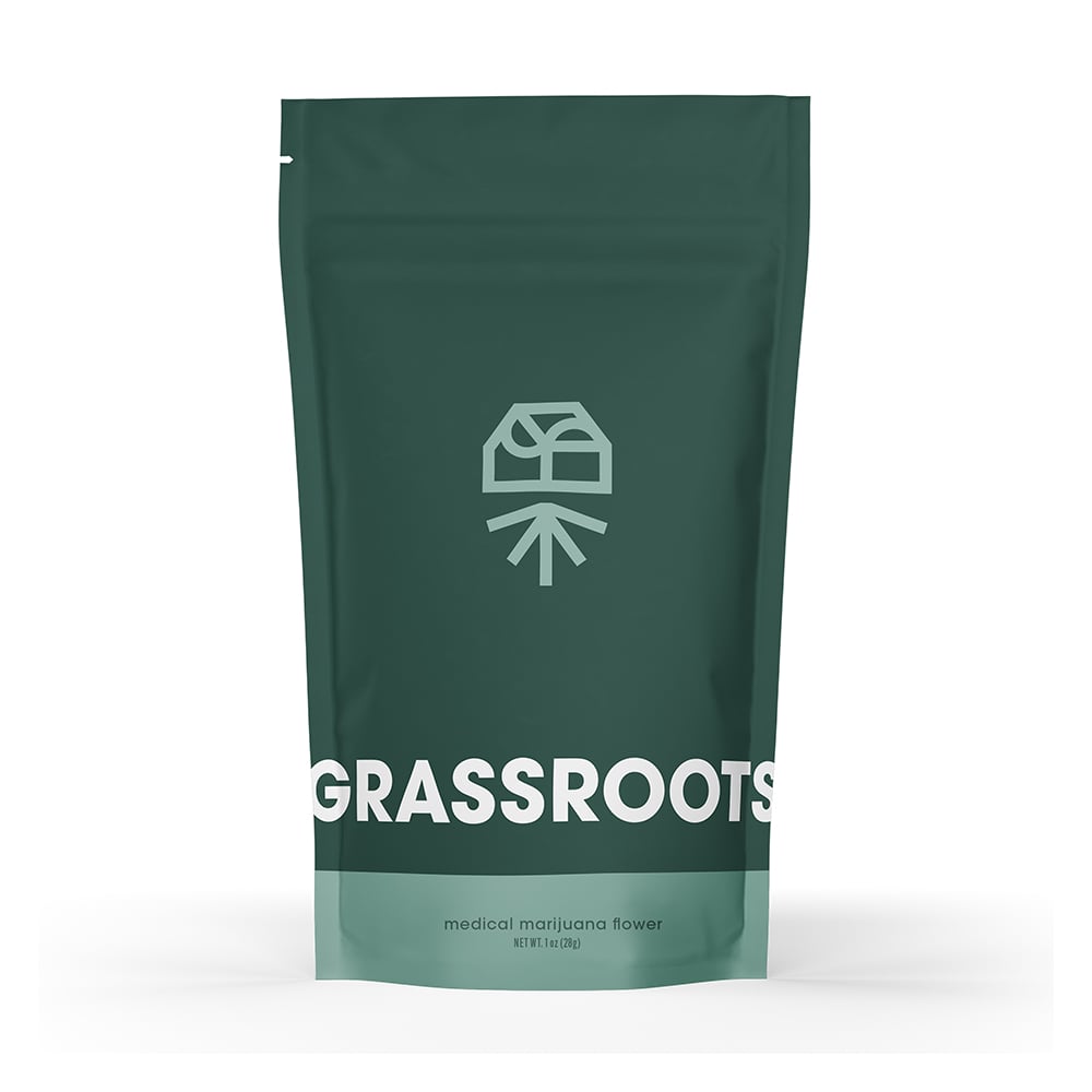 (美品) GrassRoots SG GrassRoots G-SNAPPER-TO【Twinkle Pink】（新品/送料無料）【楽器検索