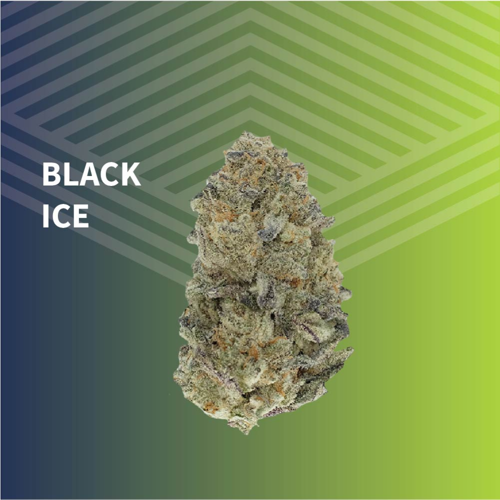 Black Ice