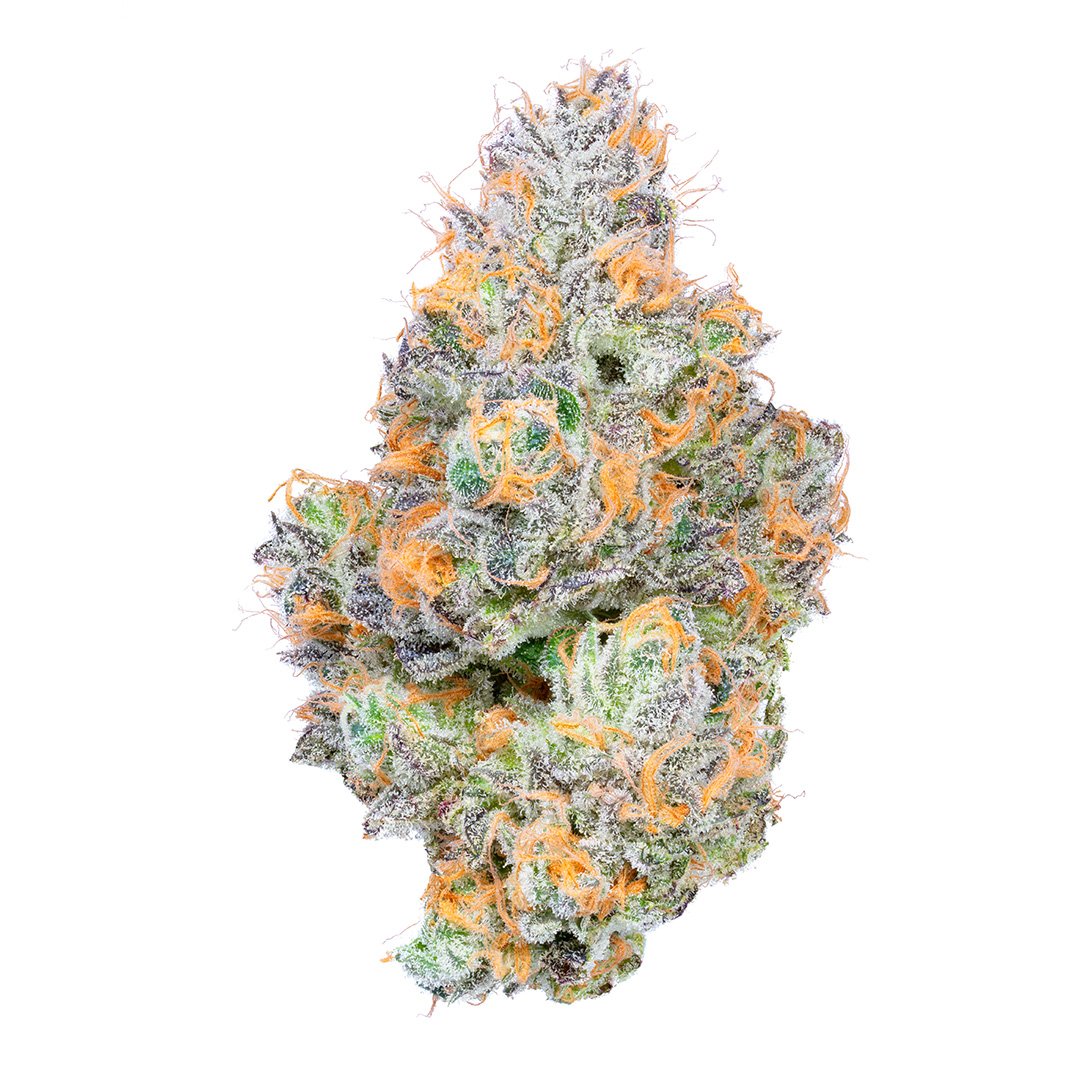 Tropical Z Tropical Z