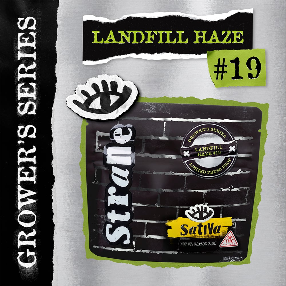Landfill Haze #19