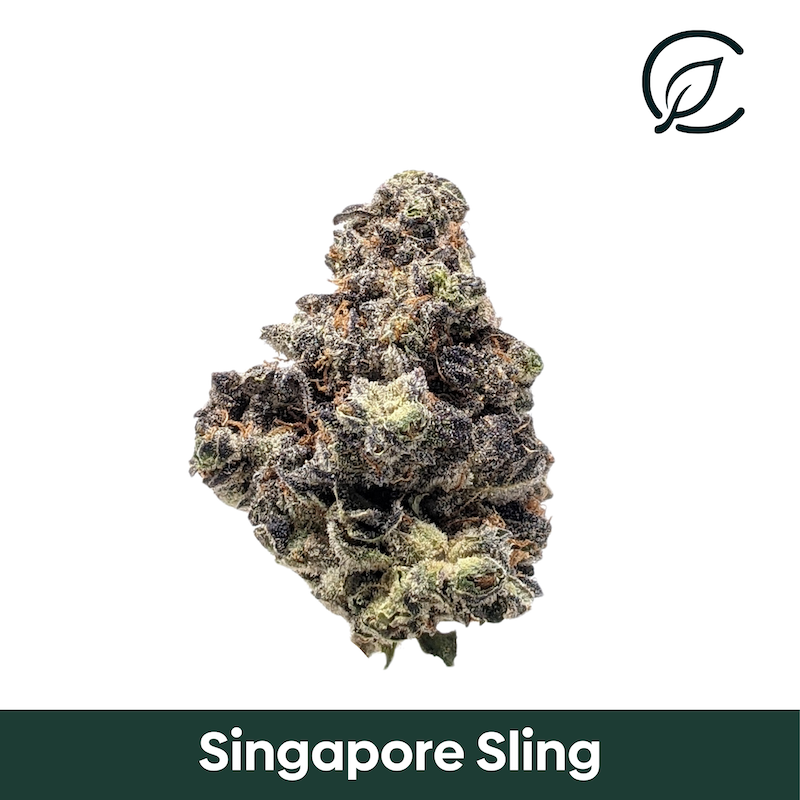 Curaleaf - Singapore Sling (S) Flower C0030001120 Curaleaf - Singapore Sling (S) Flower C0030001120