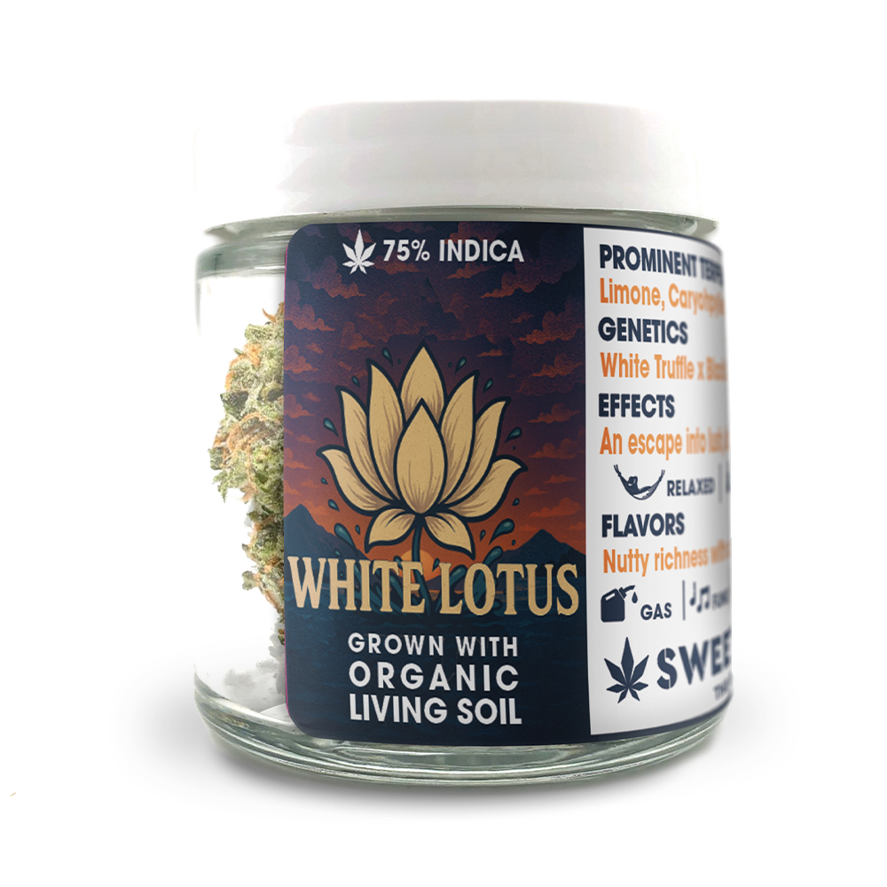White Lotus White Lotus