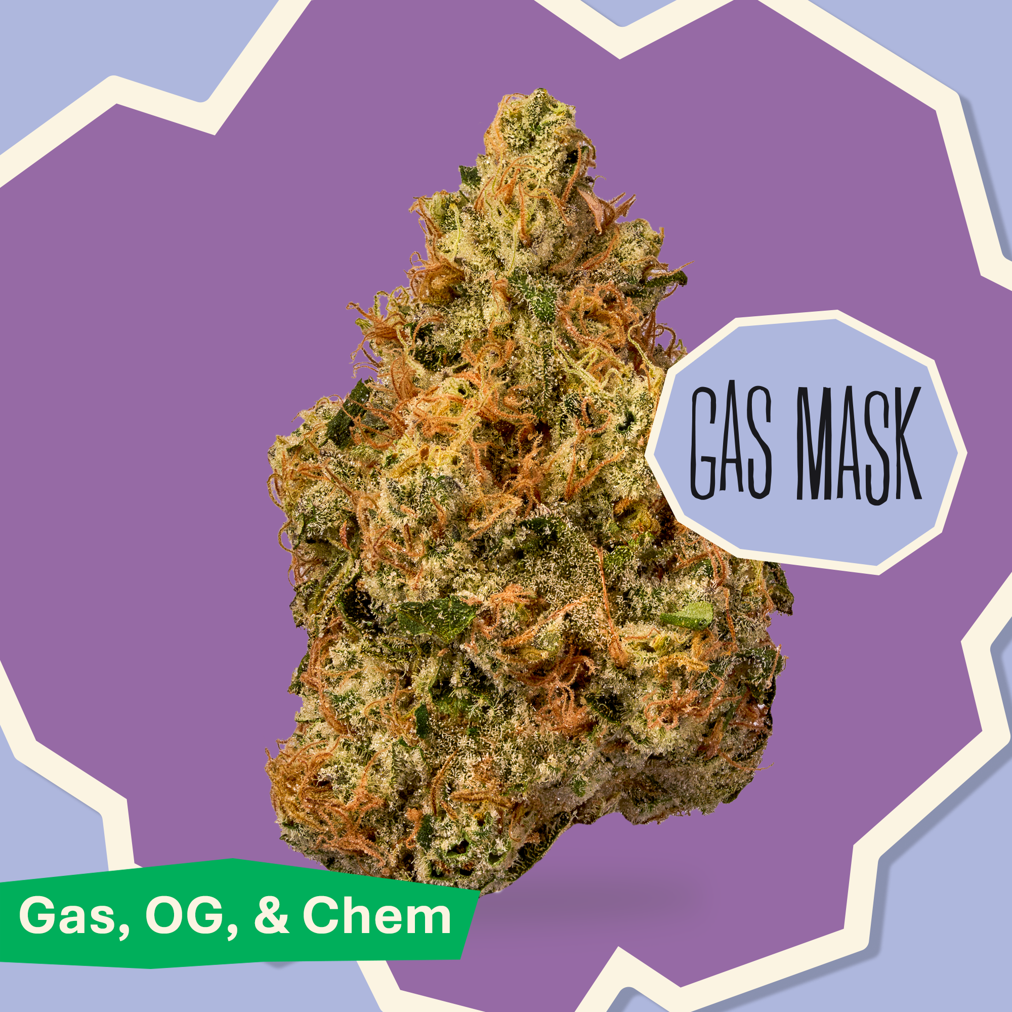 DISTRICT CANNABIS - GAS MASK  INDICA