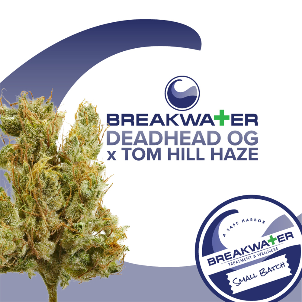Deadhead OG x Tom Hill Haze Breakwater Premium Flower Jane