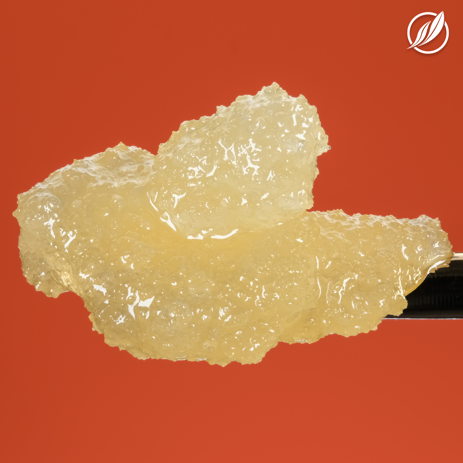 Hazy Fields  BHO Live Resin Sugar  MED T69.99% S 25896 (CTPharma)