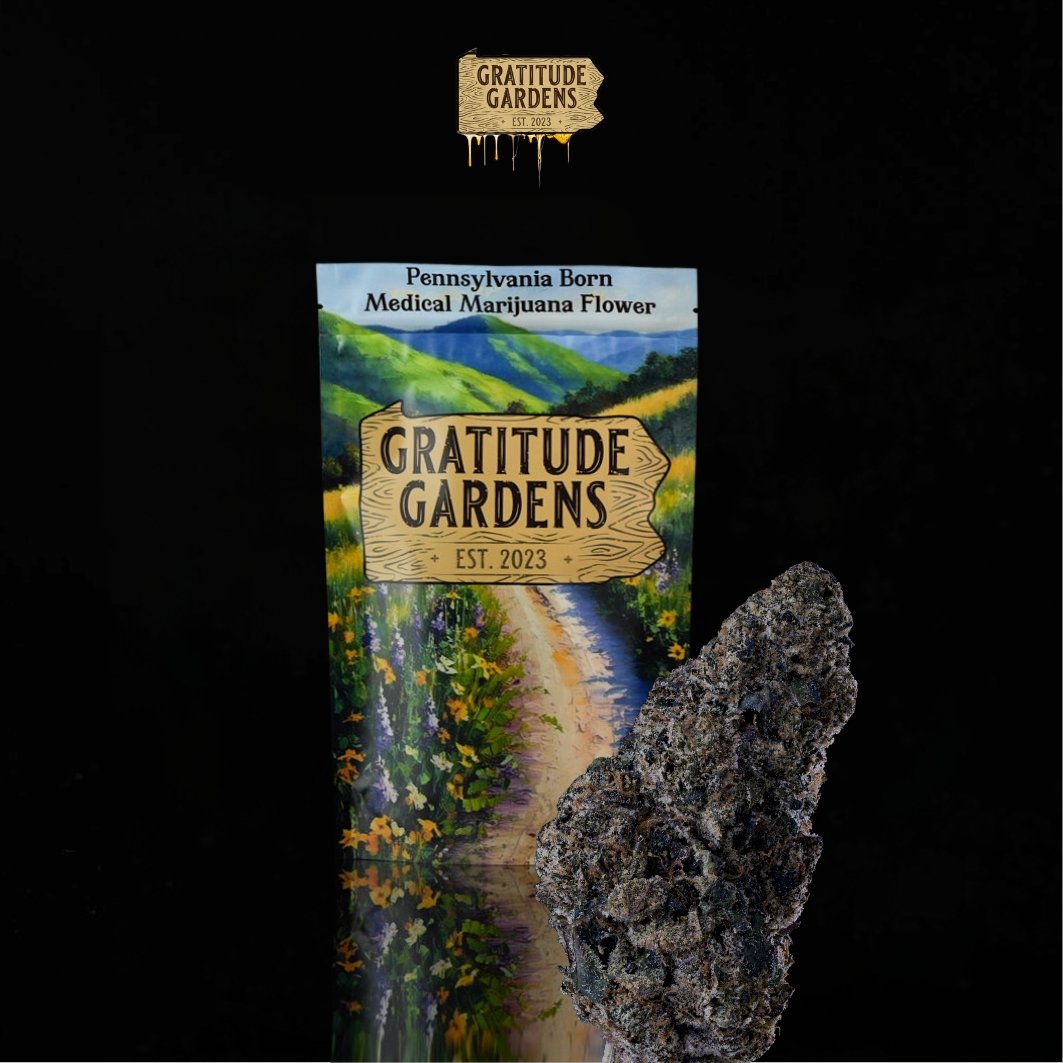 【Ebi Botanical Life】 Zenbiome COPE | Microbiome Labs