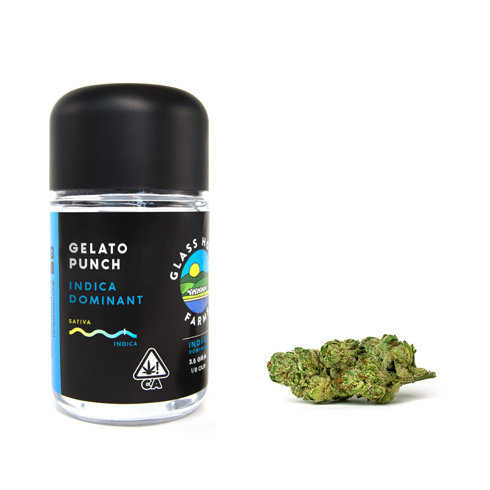 Gelato Punch Glass House Farms Flower Jane