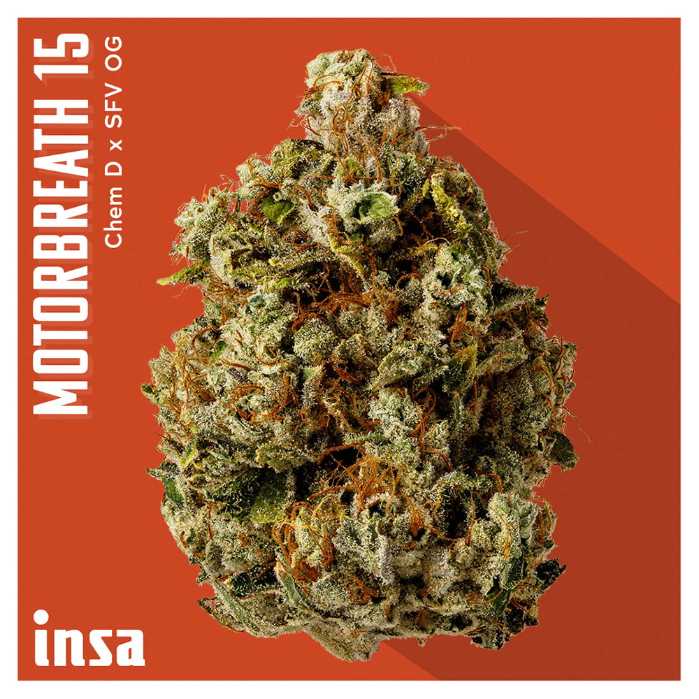 Motorbreath 15