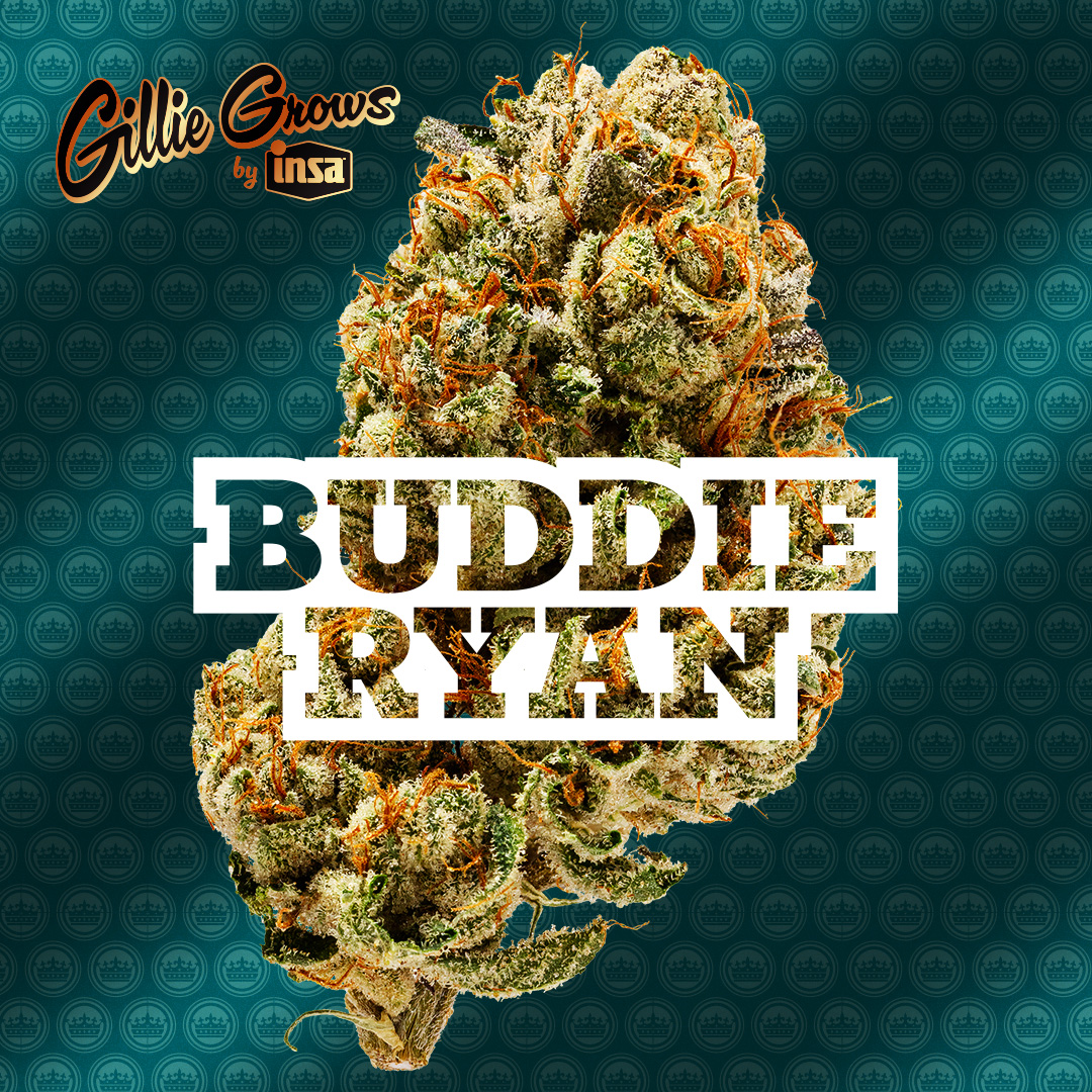 Shop Buddie Ryan | Insa - Newtown Square Dispensary Newton Square, PA