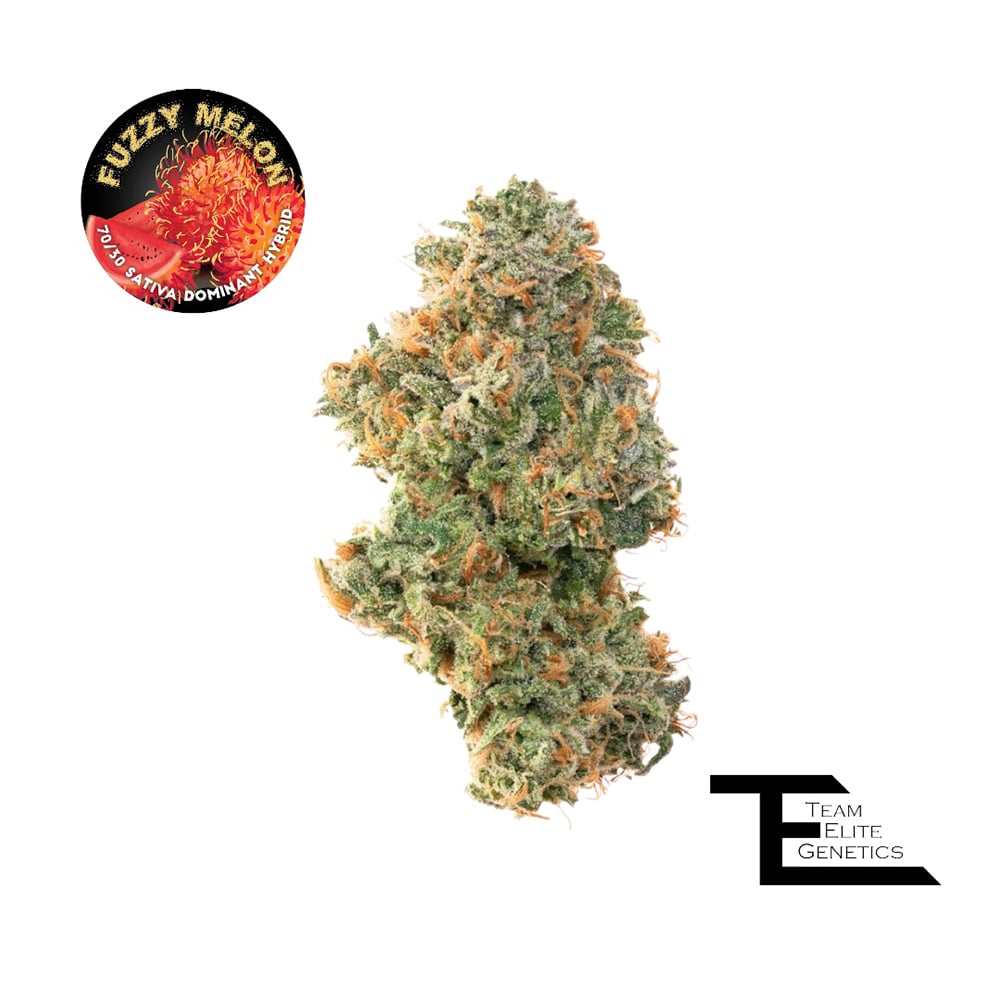 Fuzzy Melon Fuzzy Melon