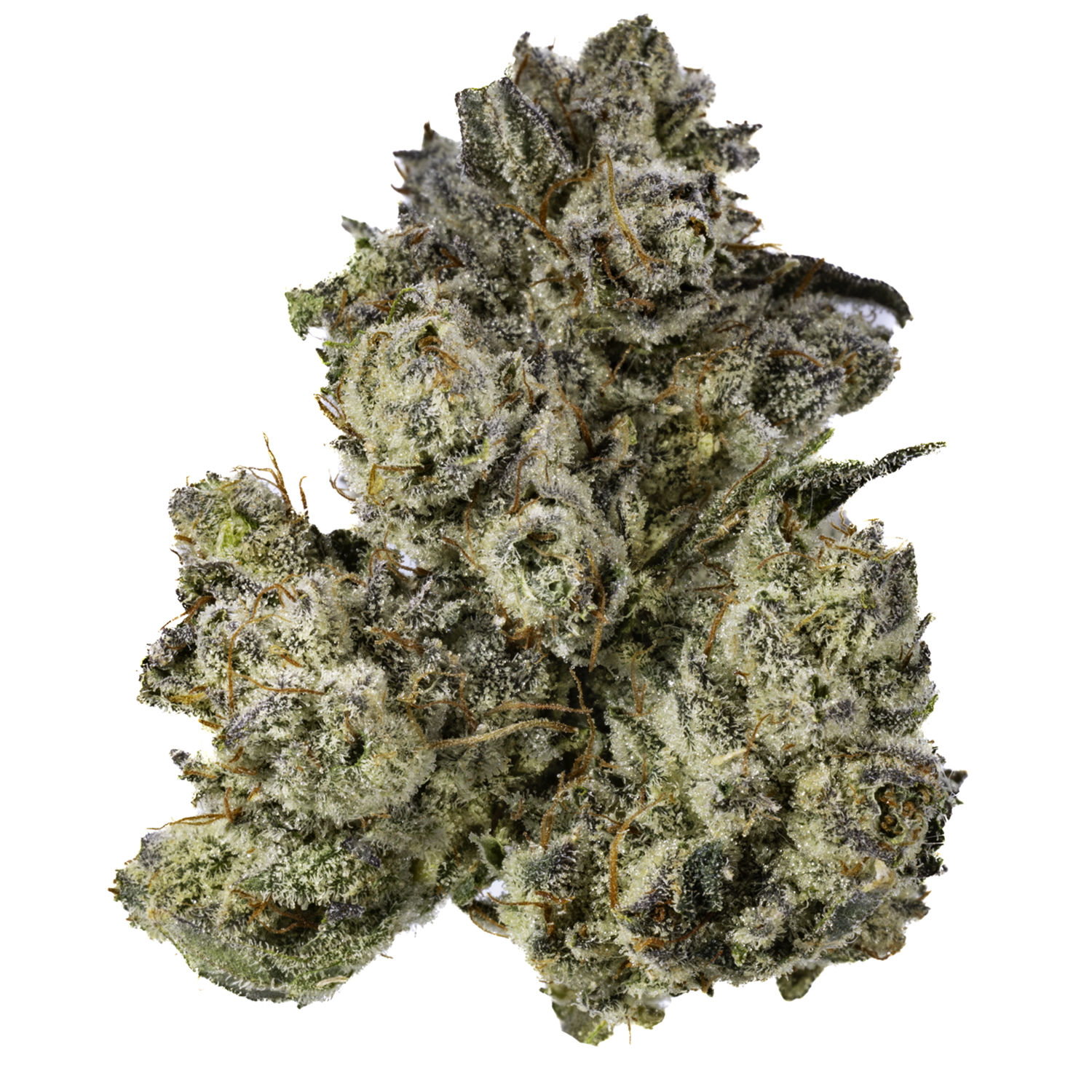 Gorilla Grip #4 Gorilla Grip #4