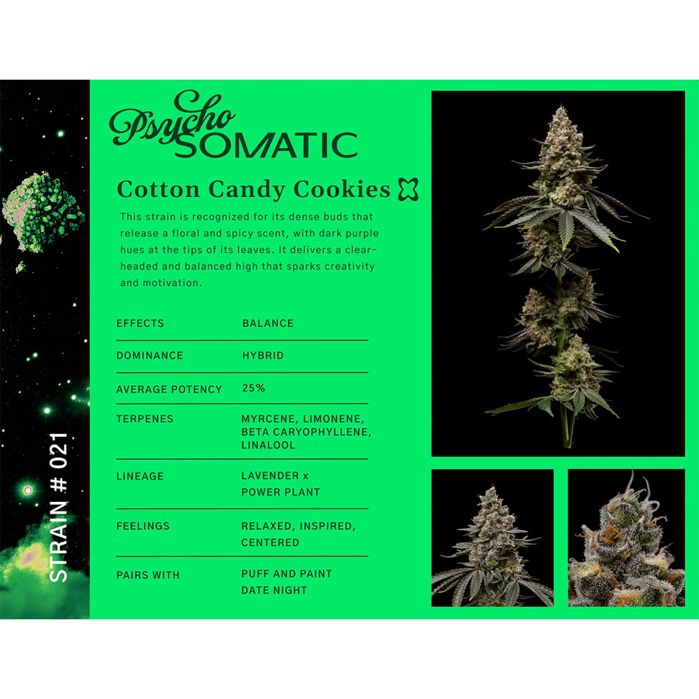 Cotton Candy Cookies [56g]