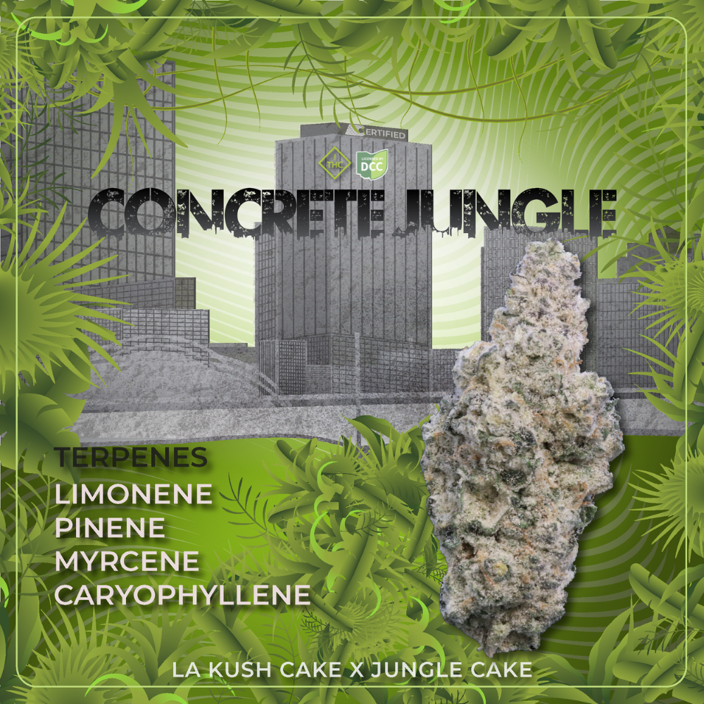 Shop Concrete Jungle [2.83g] | Jane