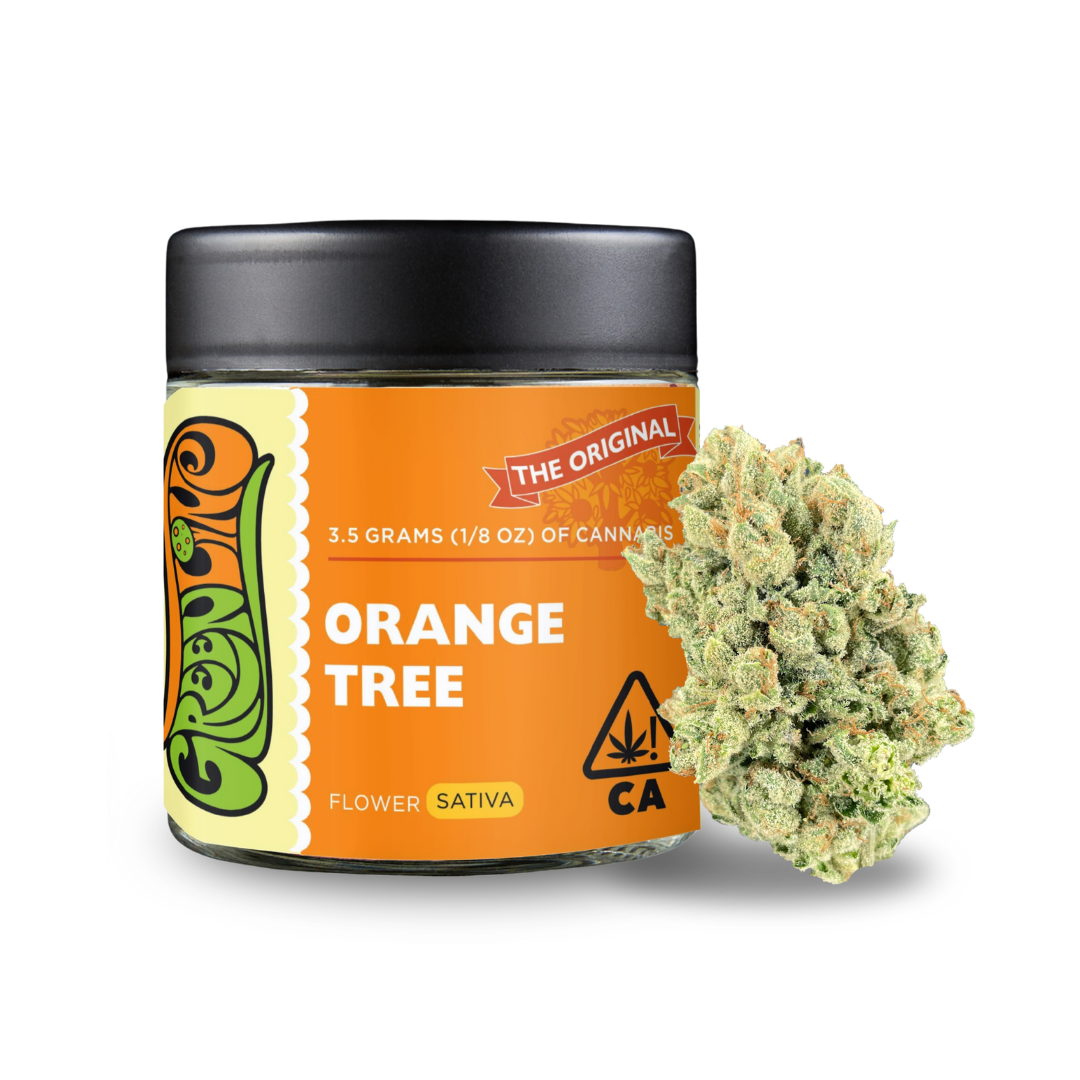 Orange Tree