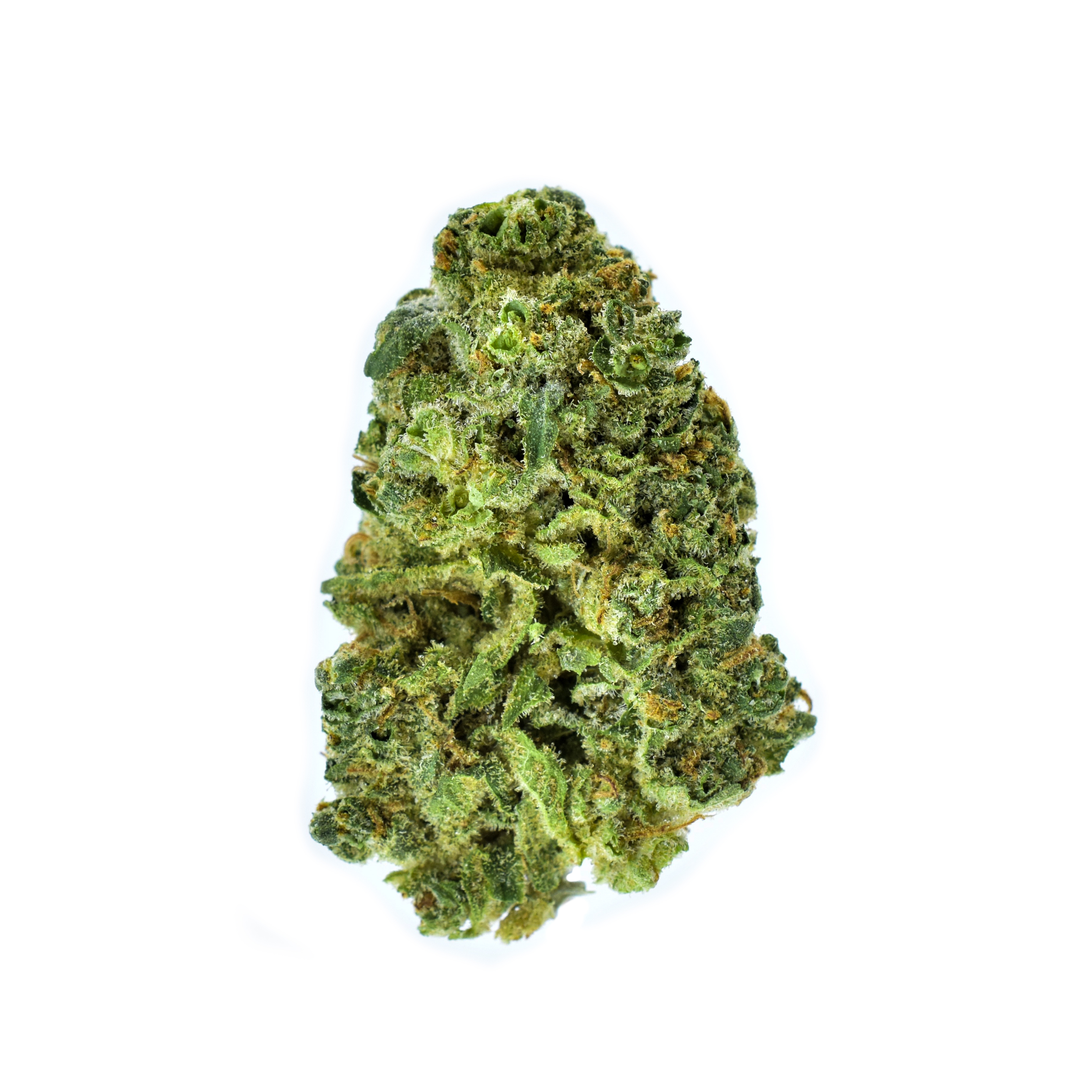 Champion City Chocolate Paul Bunyan Jane