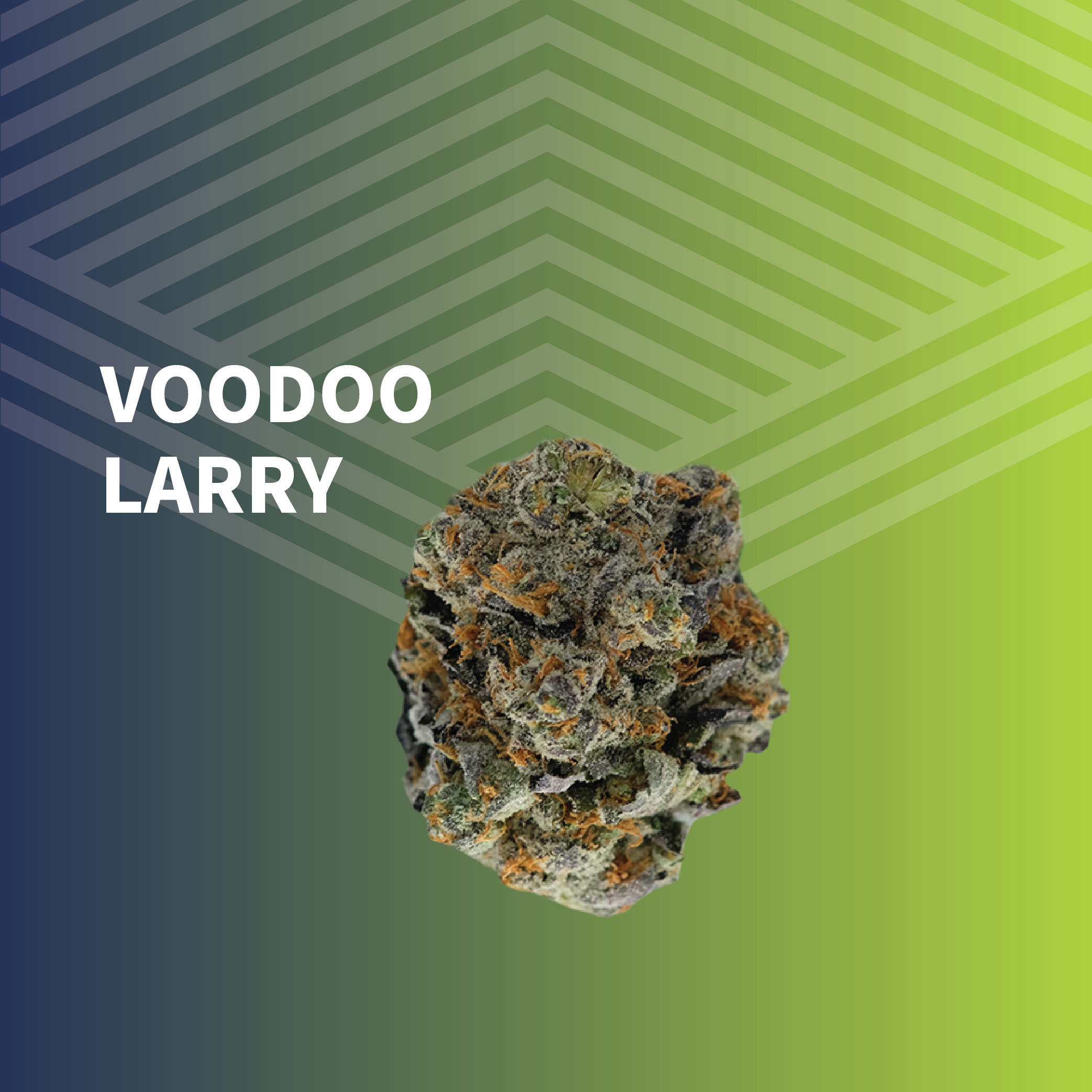 Shop Voodoo Larry | Pure Dakota Health - Bismarck Dispensary