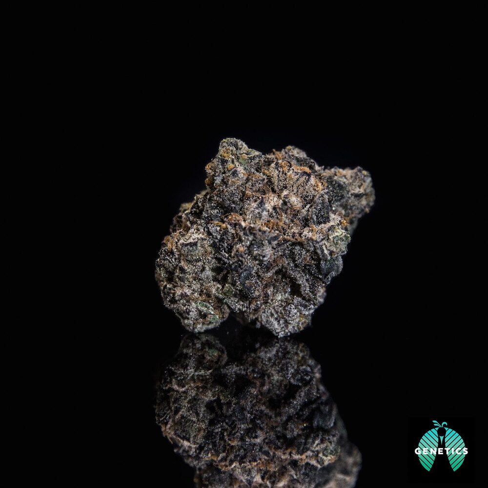 kush-mints-maitri-genetics-jane