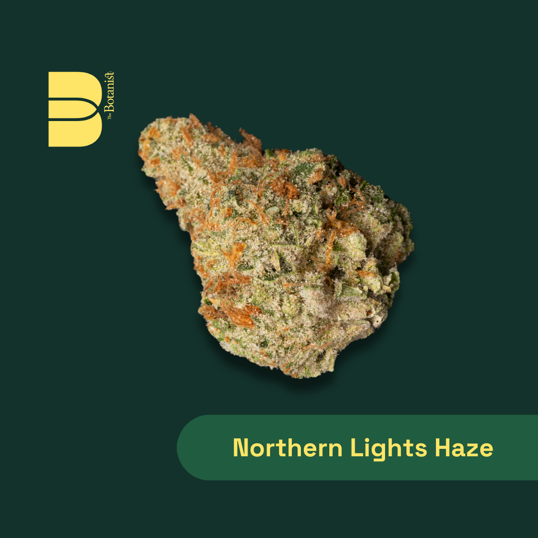 Northern Lights Haze