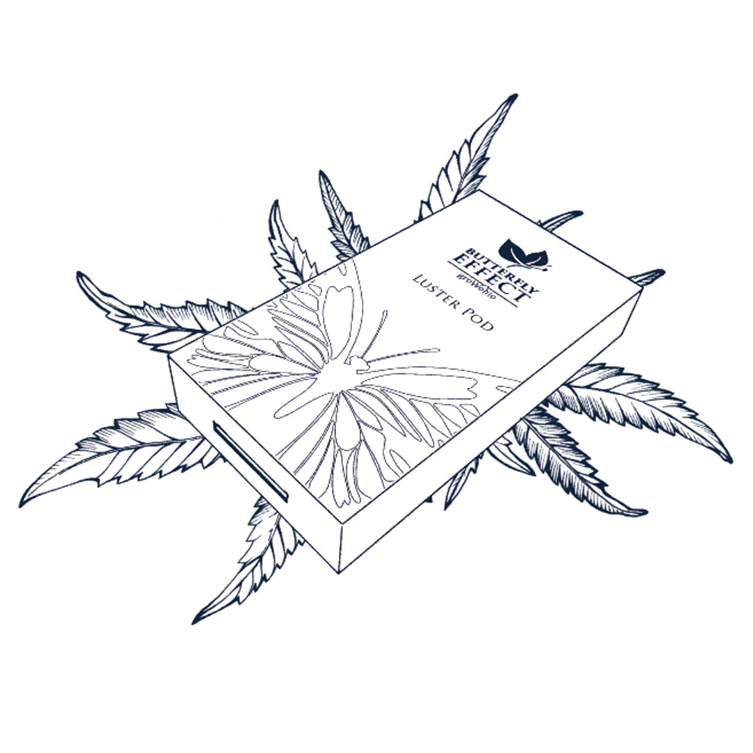 Triple Chocolate Chip Luster Pod [850mg] Butterfly Effect Butterfly