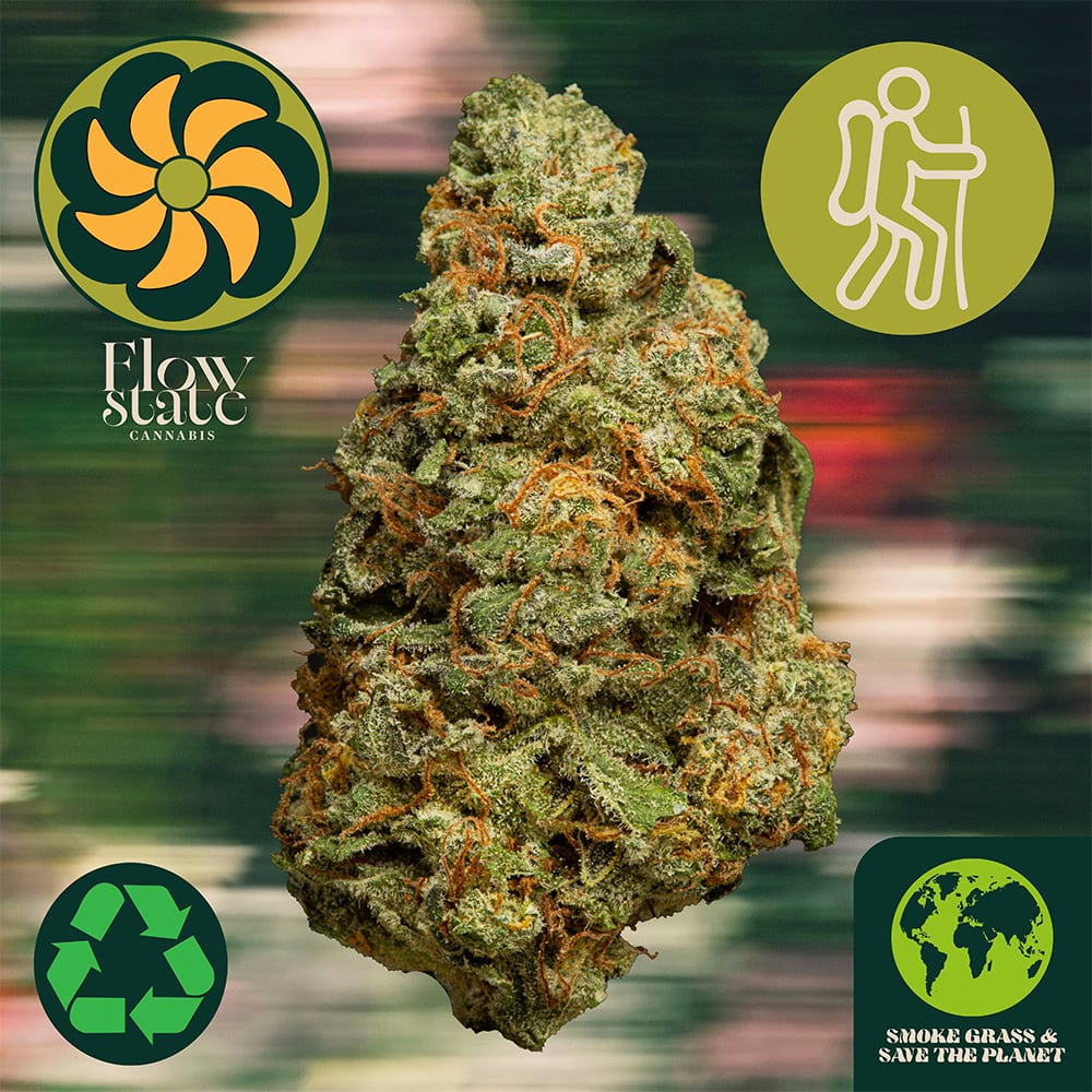 Flow State - Lemon Shiv (H) Flower  C0040002198