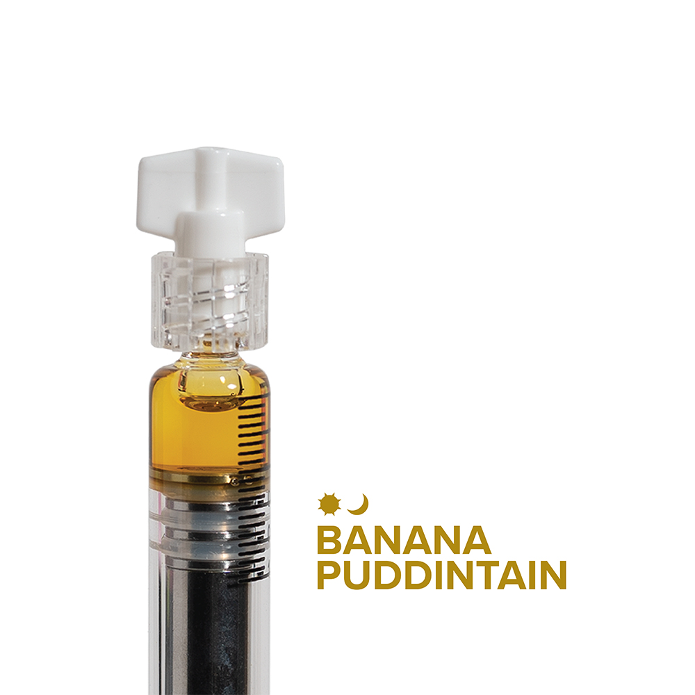 Banana Puddintain [.5g] Breakwater Concentrated Oil Jane