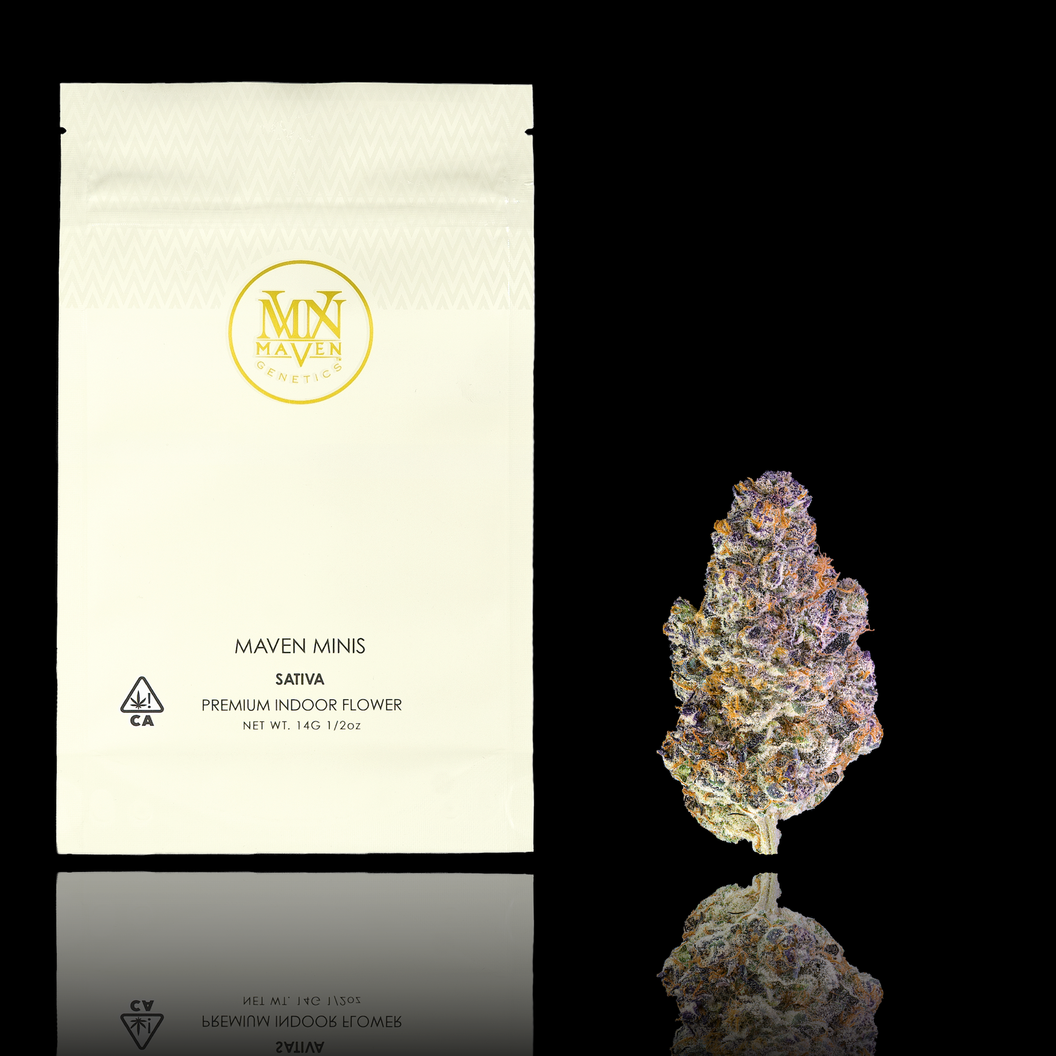 Key Lime Jack -  Maven Minis [14g]