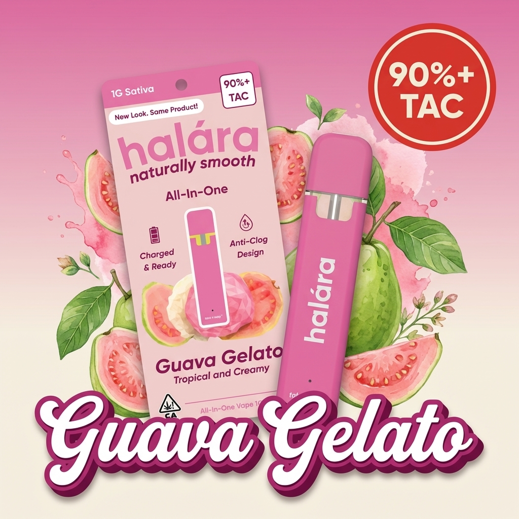 Guava Gelato AIO