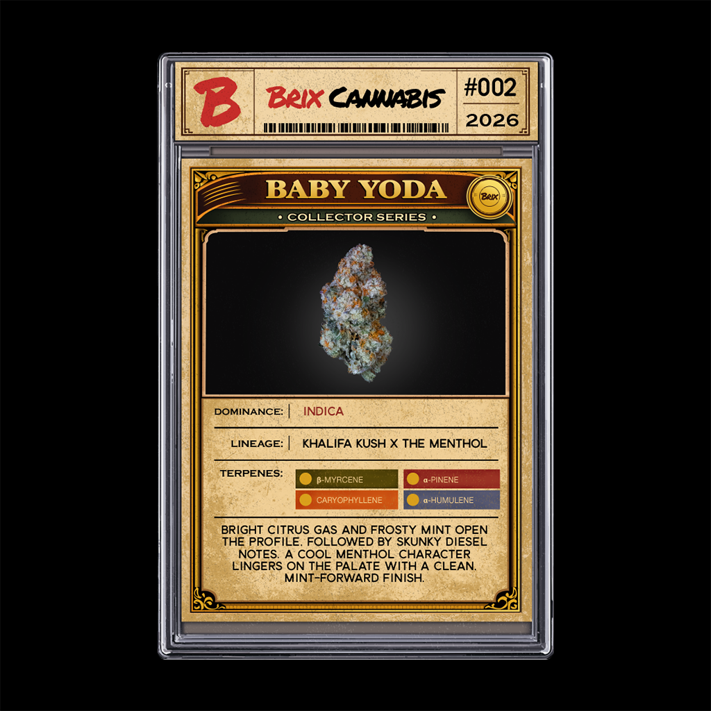 Whole Flower B Yo (I) 00318