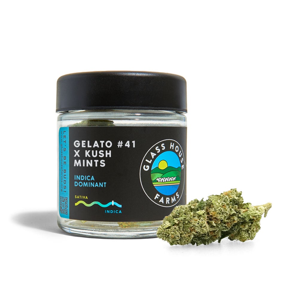 Gelato #41 x Kush Mints